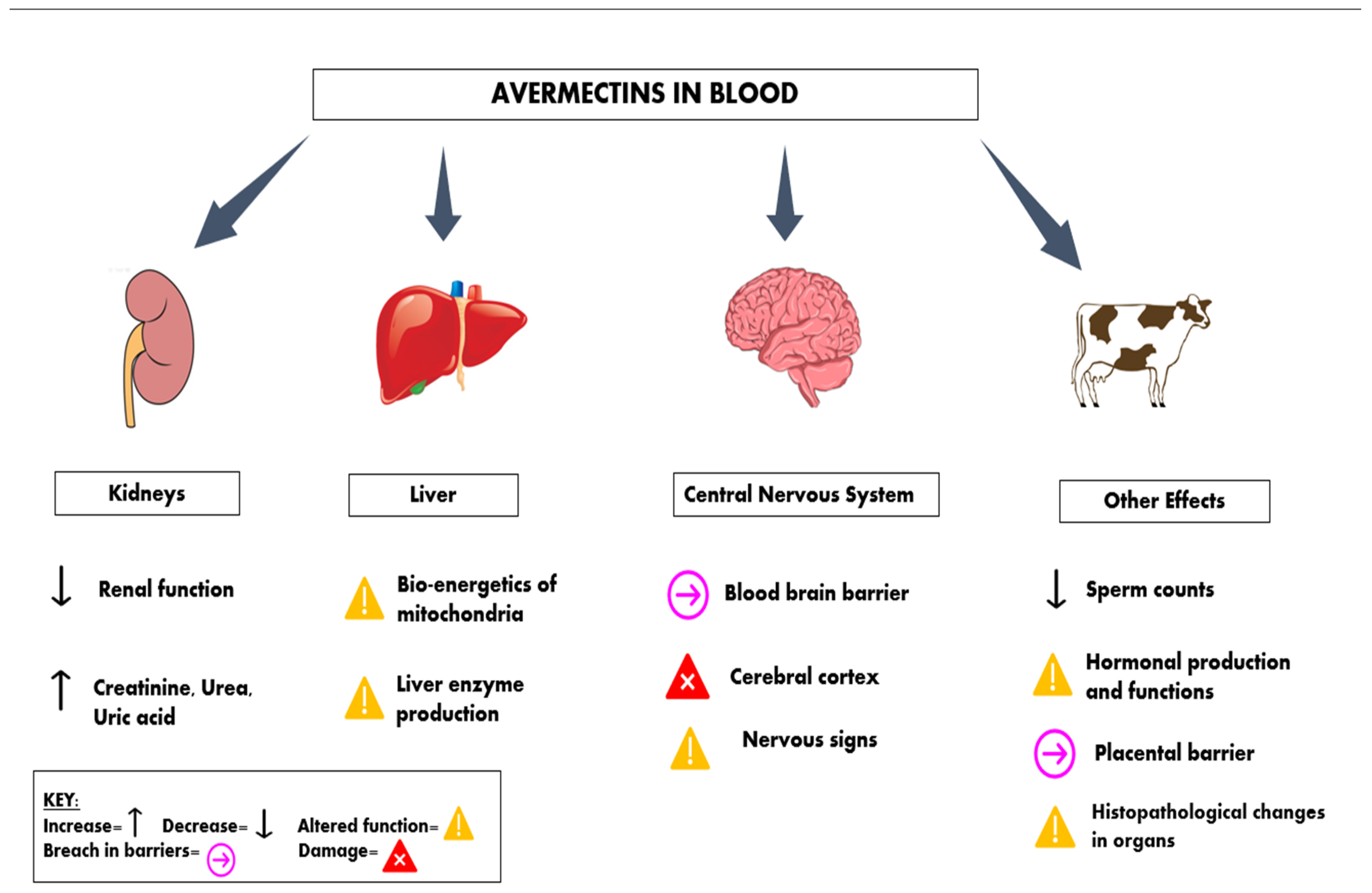 Pharmaceuticals 15 00332 g004 550