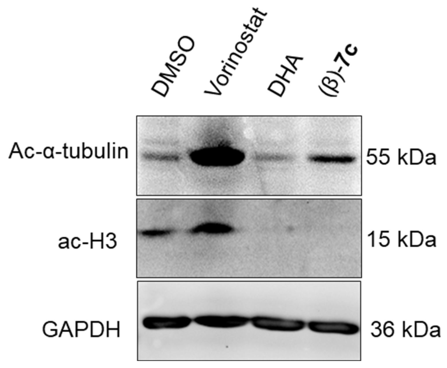 Pharmaceuticals 15 00333 g002