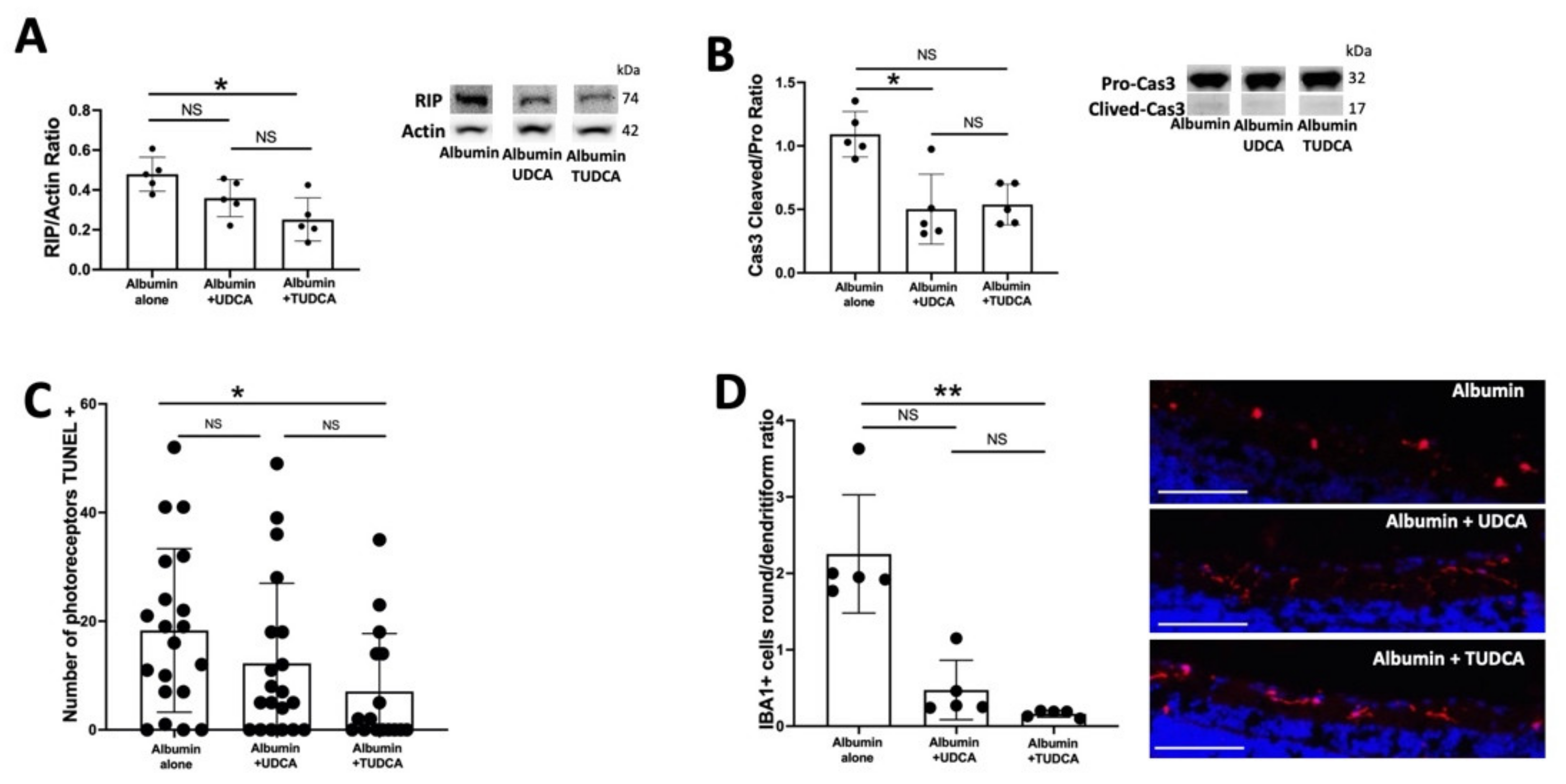 Pharmaceuticals 15 00334 g002 550