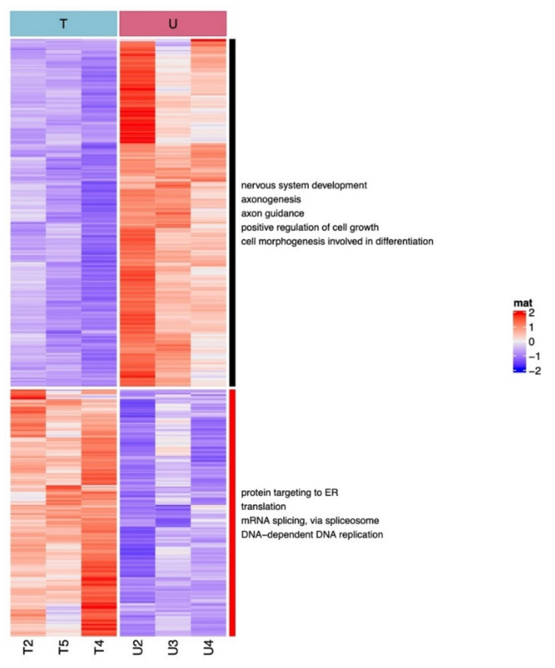 Pharmaceuticals 15 00334 g004 550