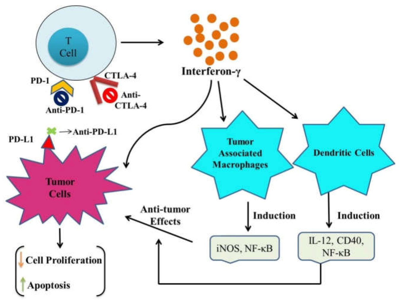 Pharmaceuticals 15 00335 g002