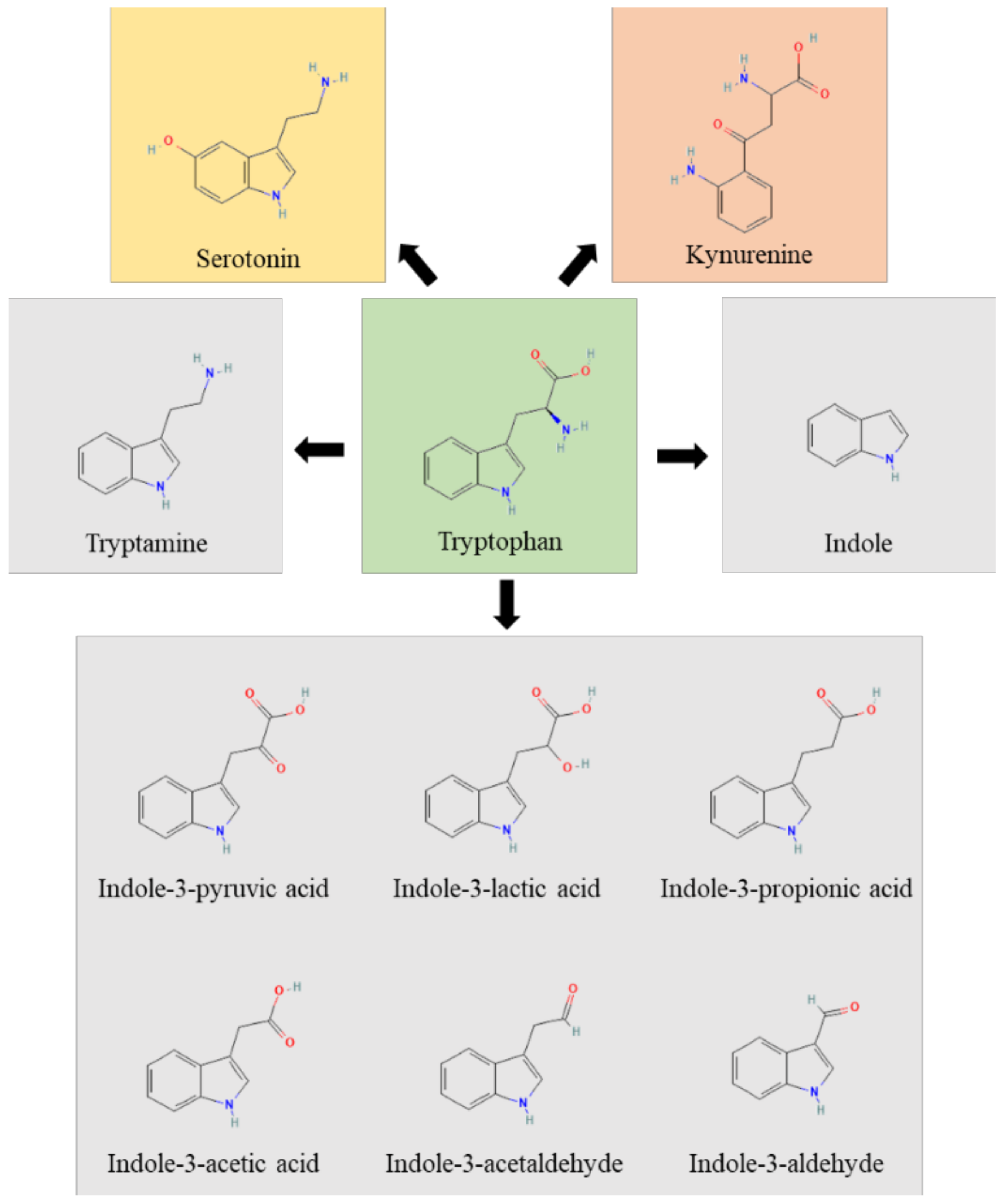 Pharmaceuticals 15 00336 g001