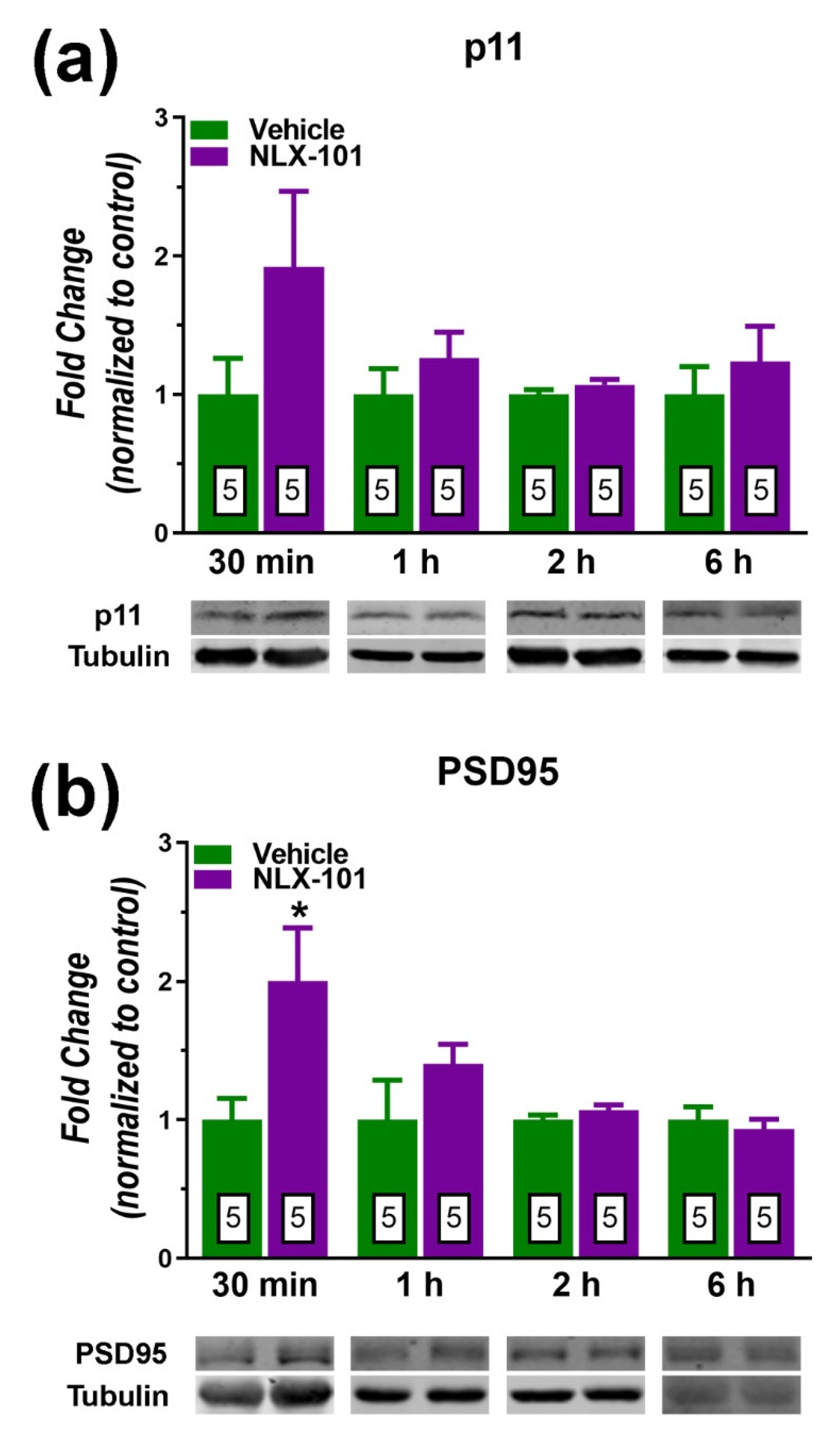 Pharmaceuticals 15 00337 g005