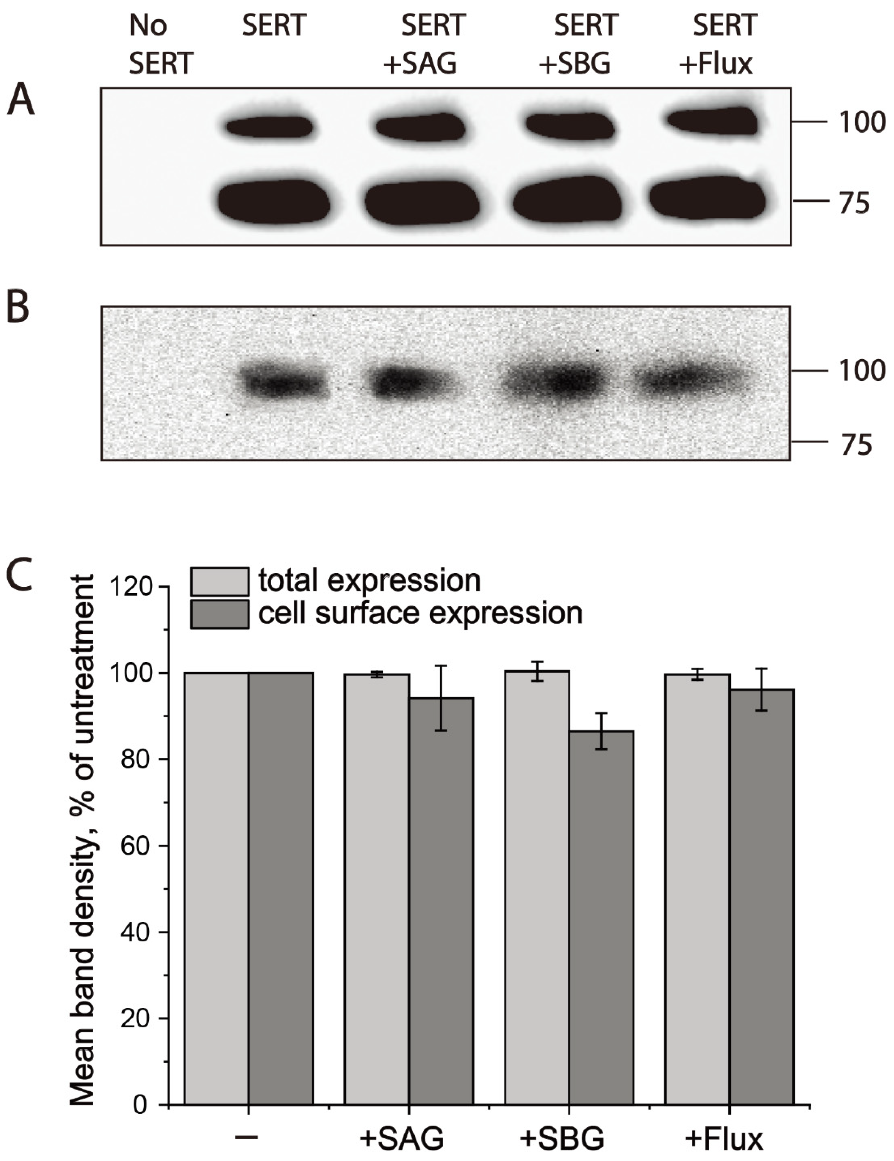 Pharmaceuticals 15 00344 g005