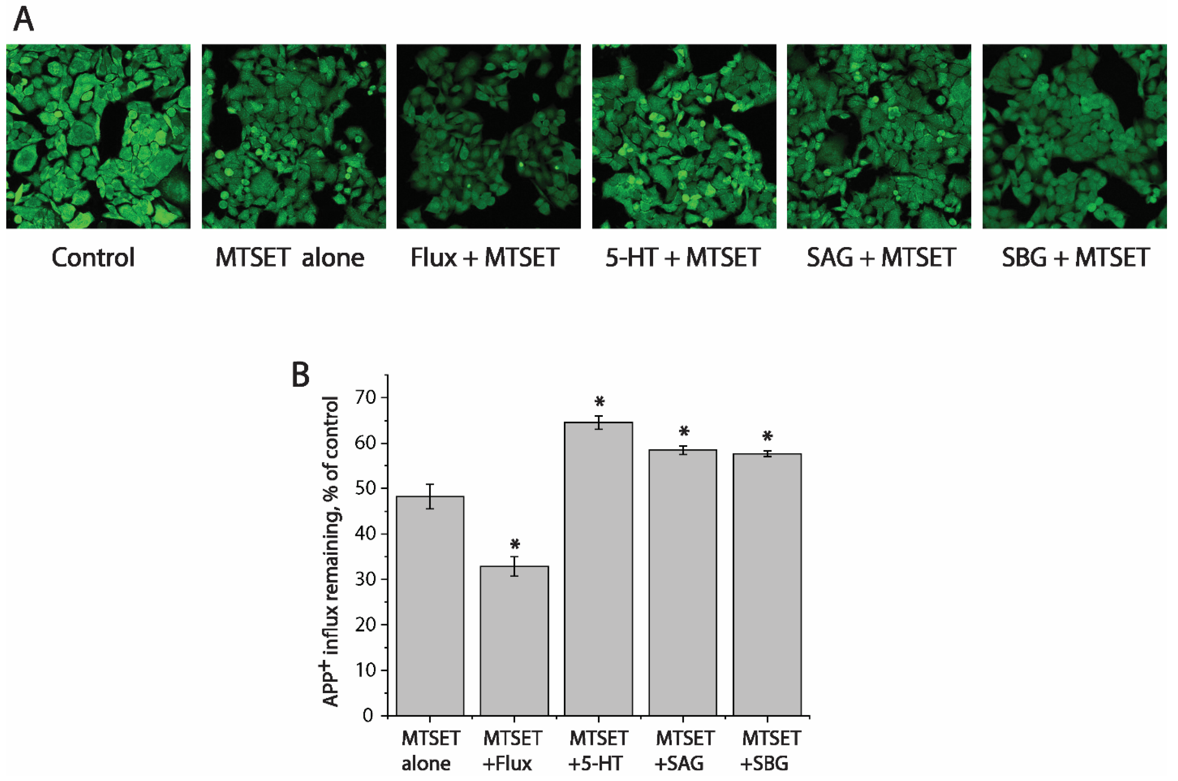 Pharmaceuticals 15 00344 g006