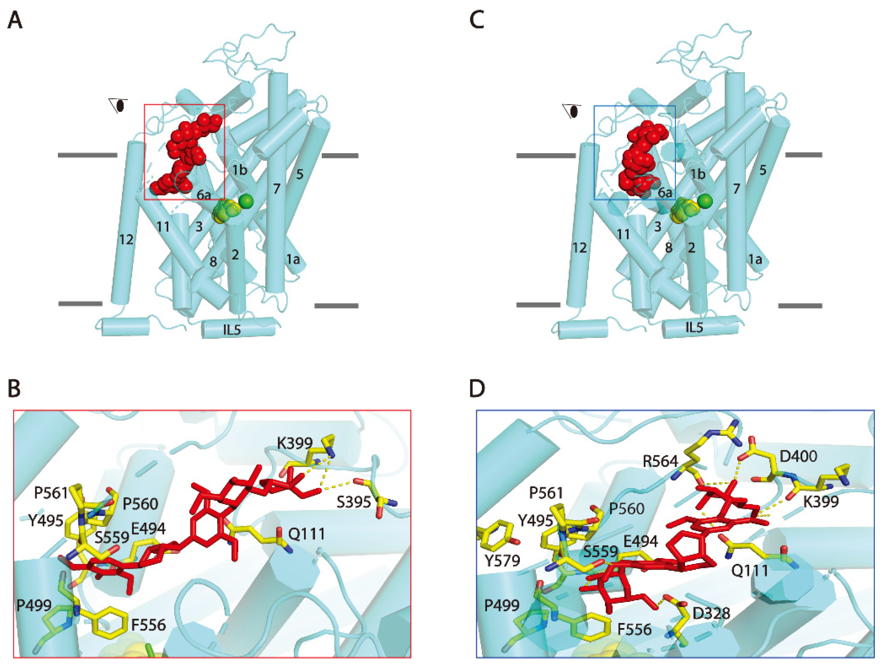 Pharmaceuticals 15 00344 g007