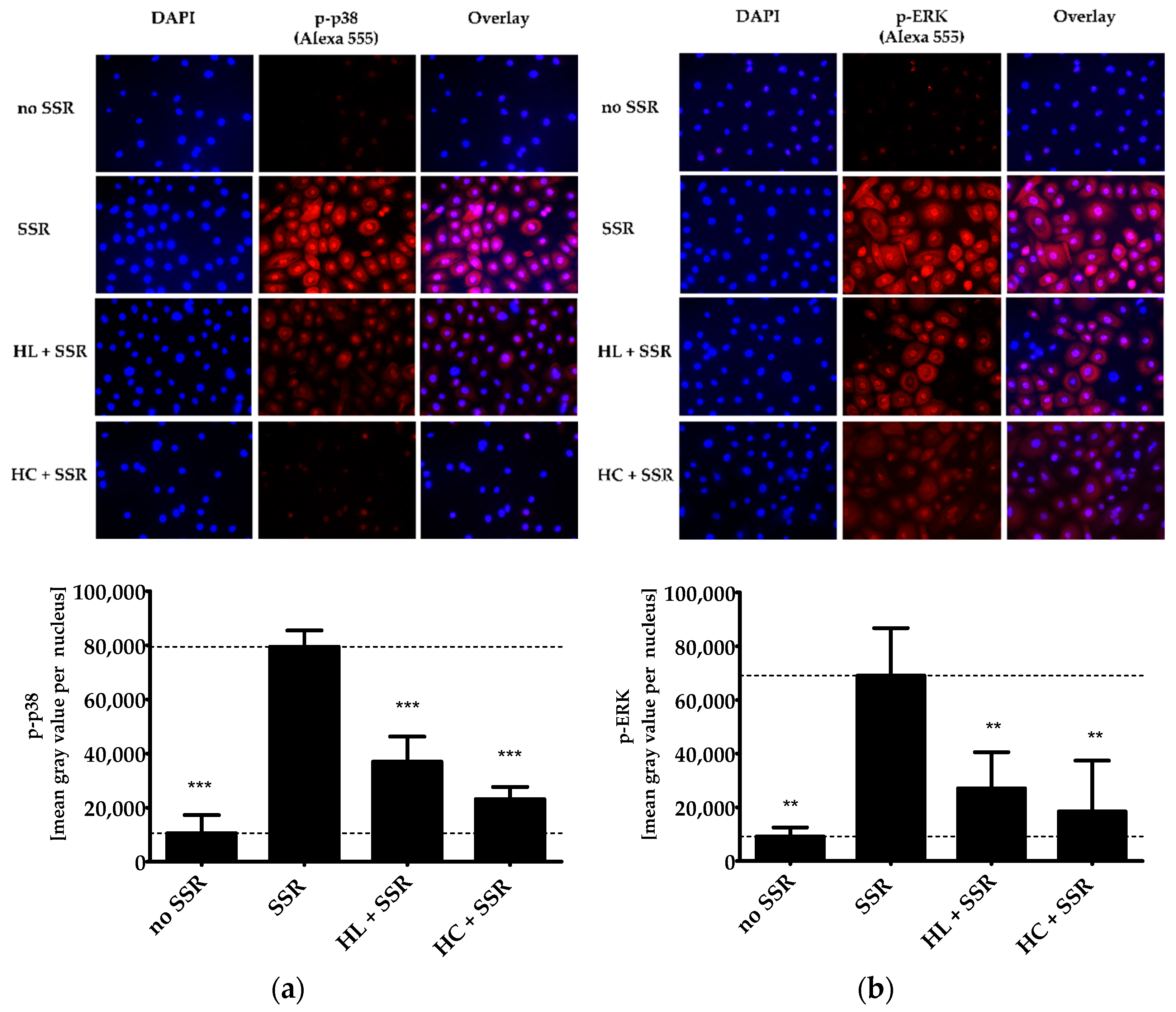 Pharmaceuticals 15 00350 g001