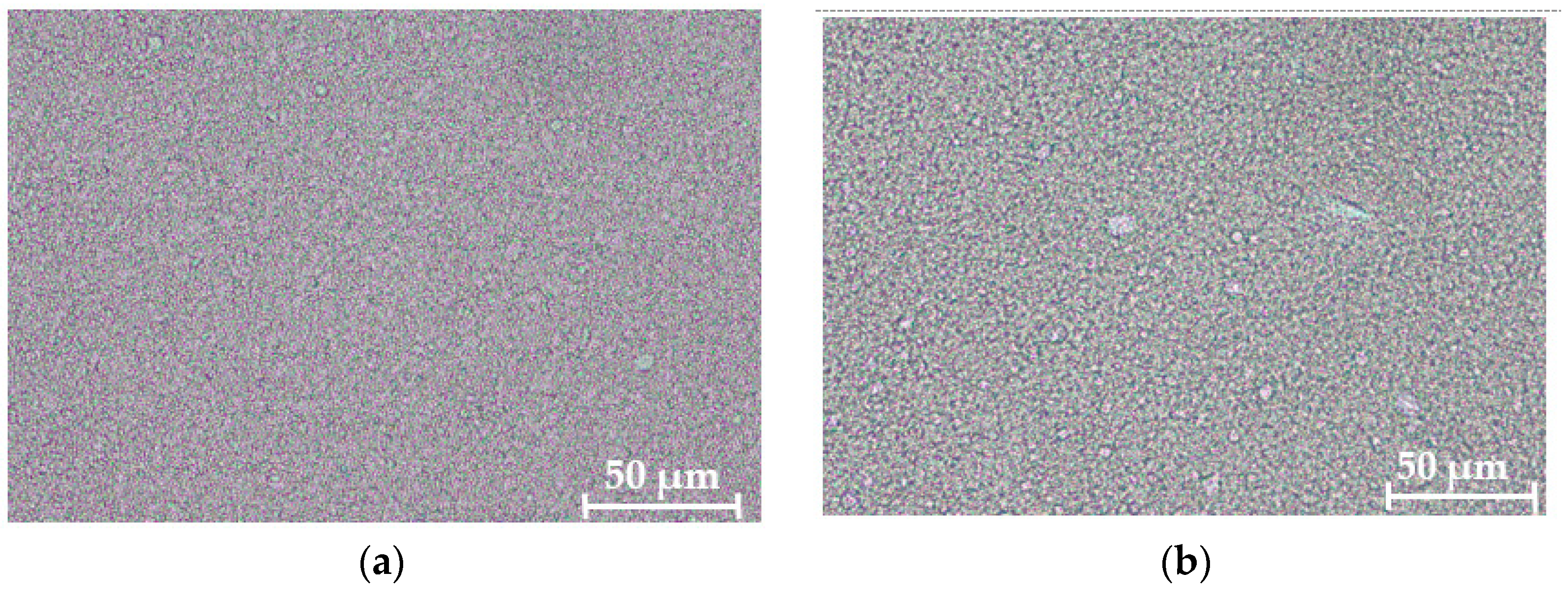 Pharmaceuticals 15 00350 g008