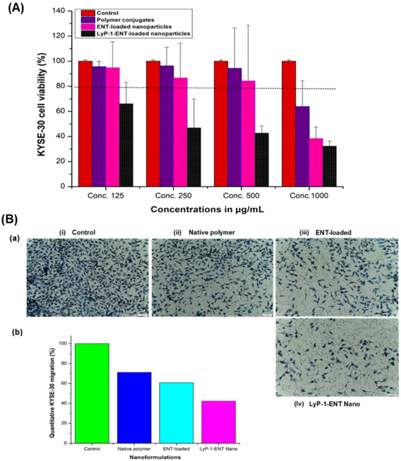 Pharmaceuticals 15 00353 g008 Pharmaceuticals 15 00353 g008