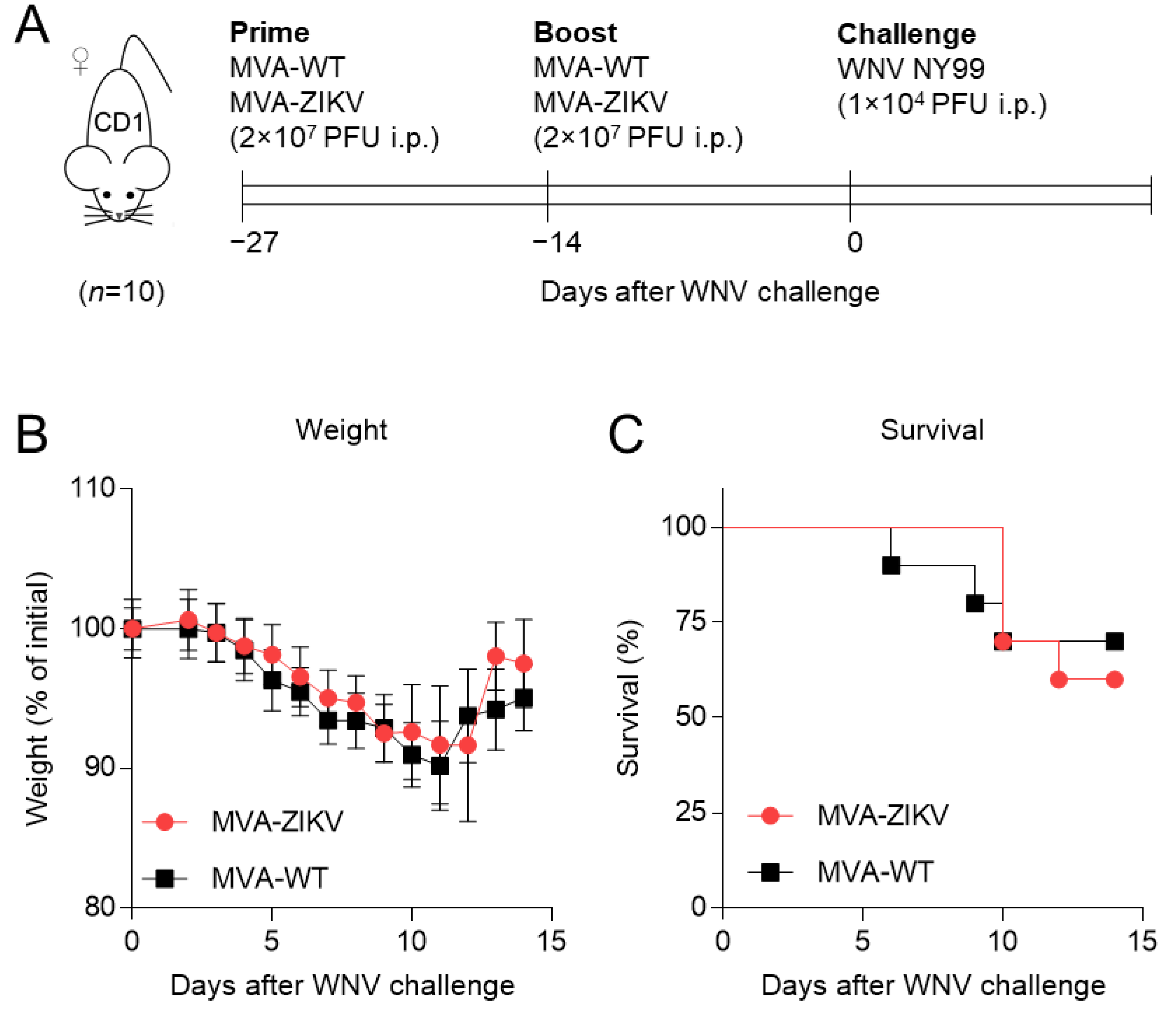 Pharmaceuticals 15 00354 g001