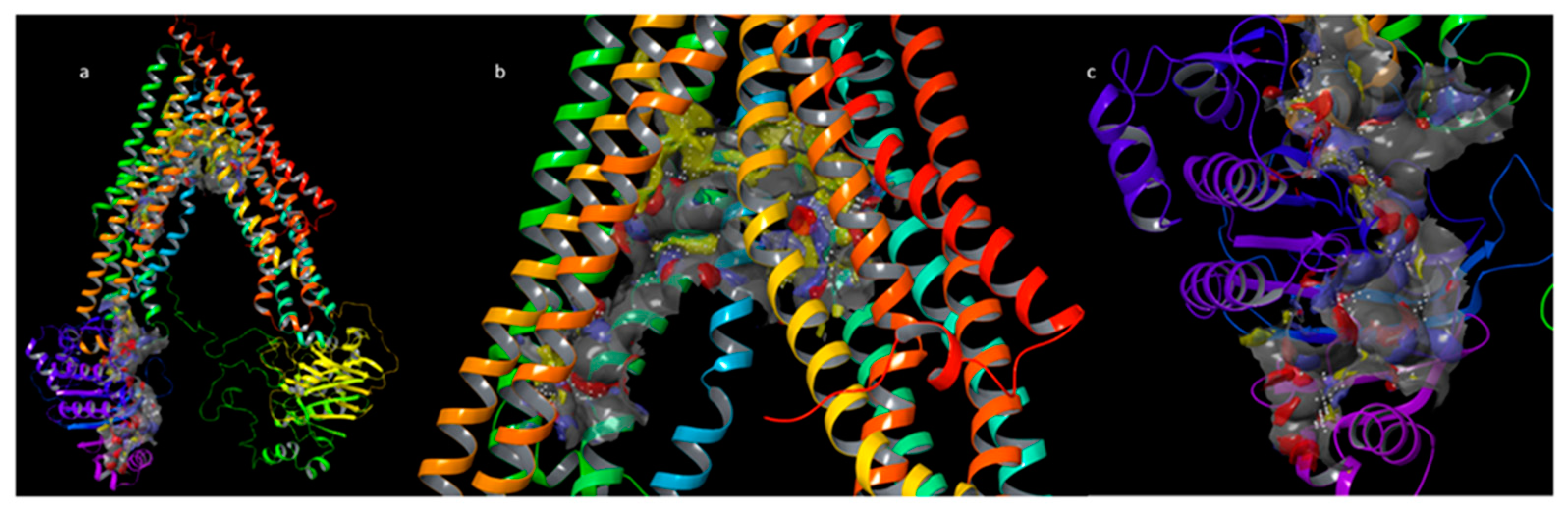 Pharmaceuticals 15 00356 g004