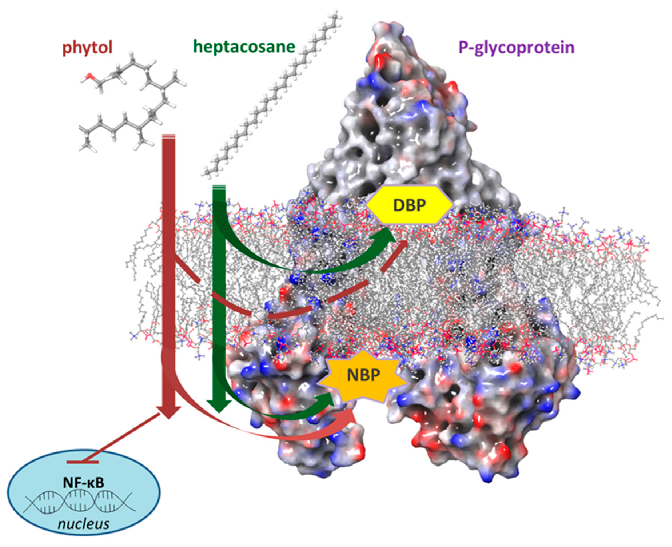 Pharmaceuticals 15 00356 g010