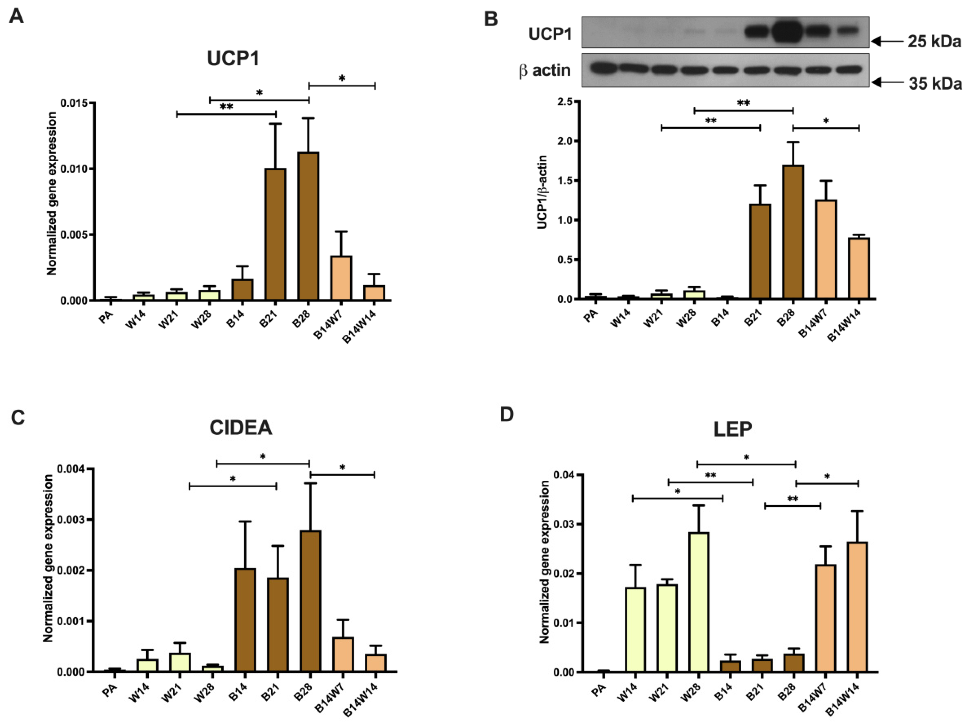 Pharmaceuticals 15 00363 g001