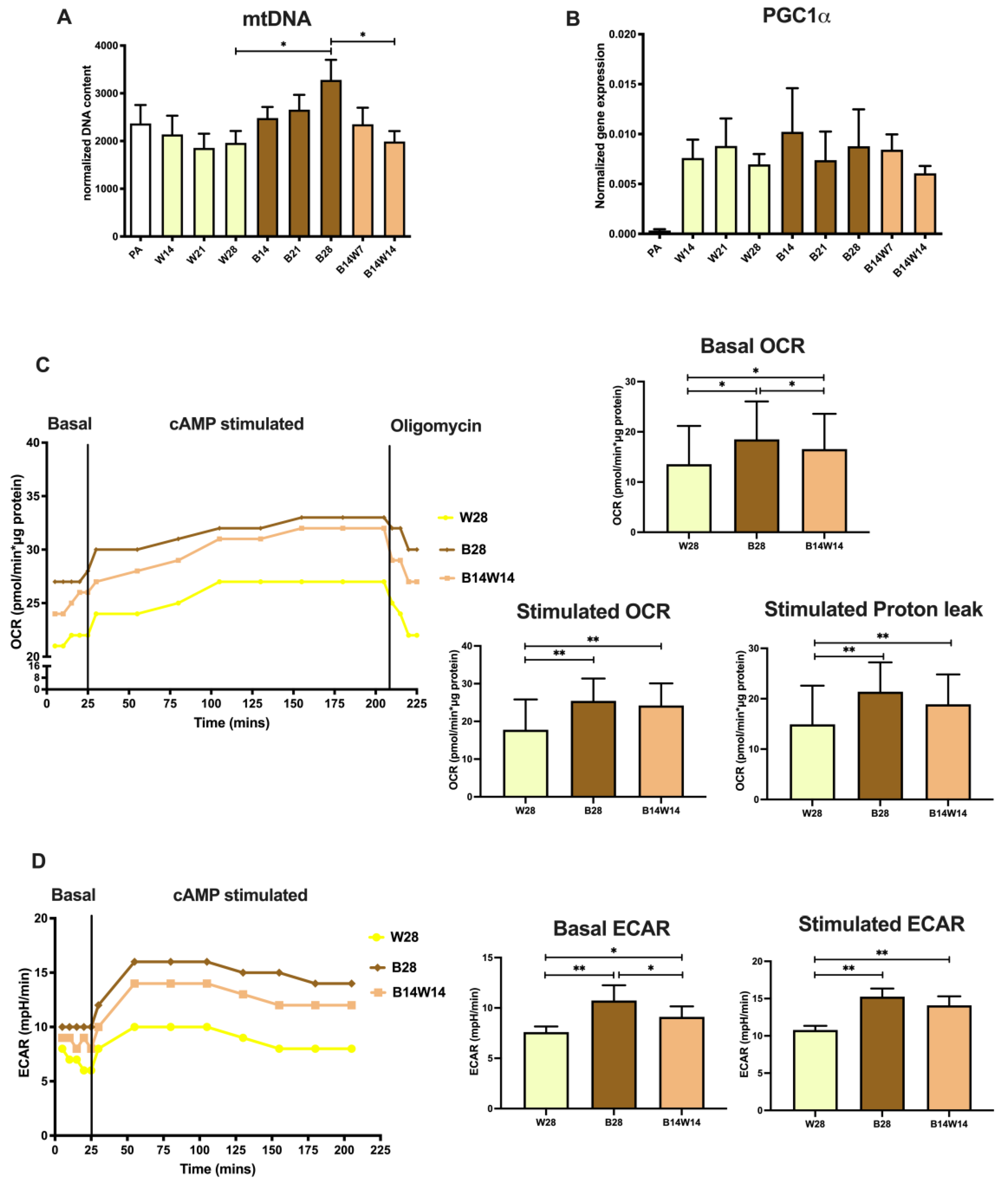 Pharmaceuticals 15 00363 g003