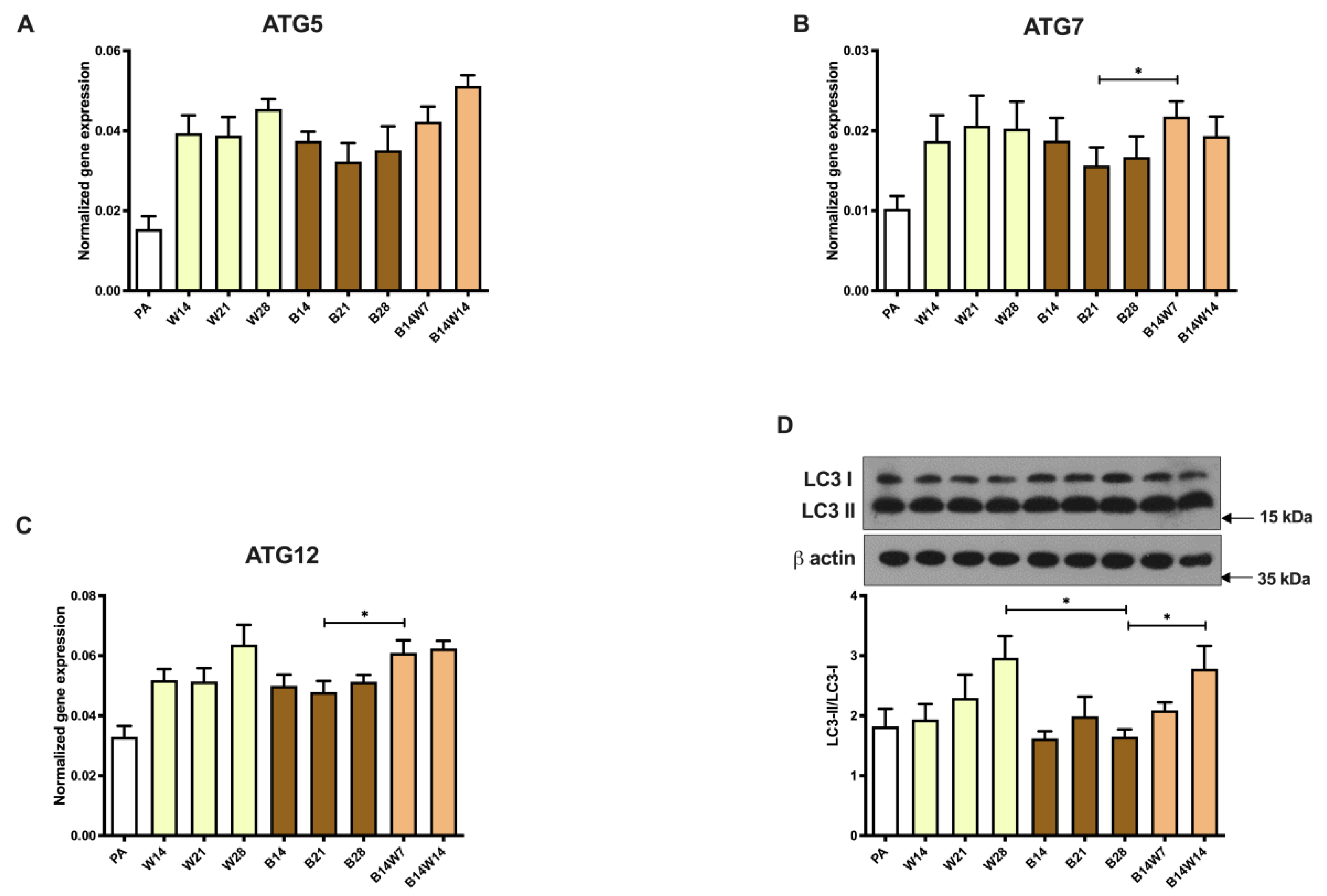 Pharmaceuticals 15 00363 g004