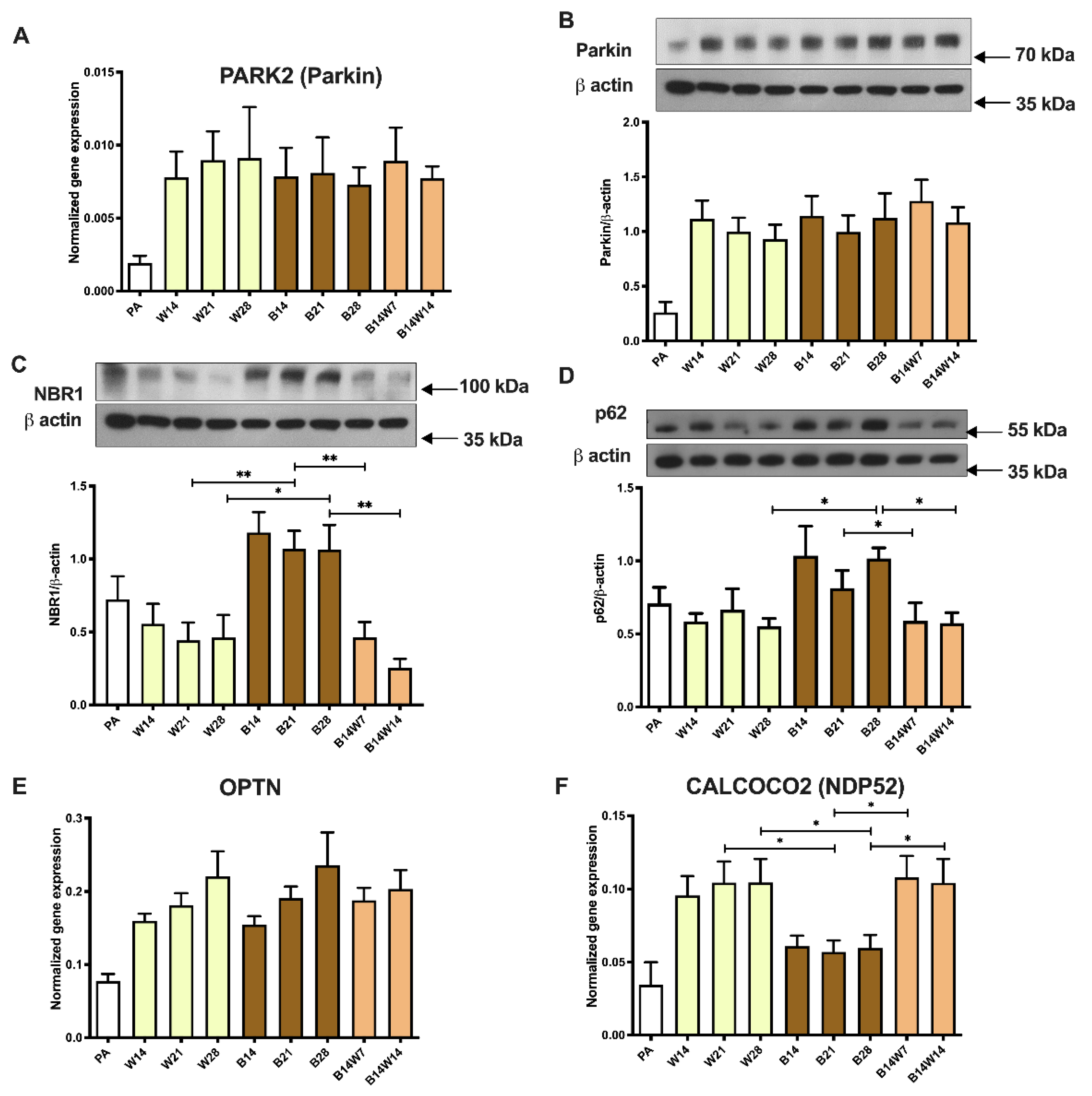 Pharmaceuticals 15 00363 g006