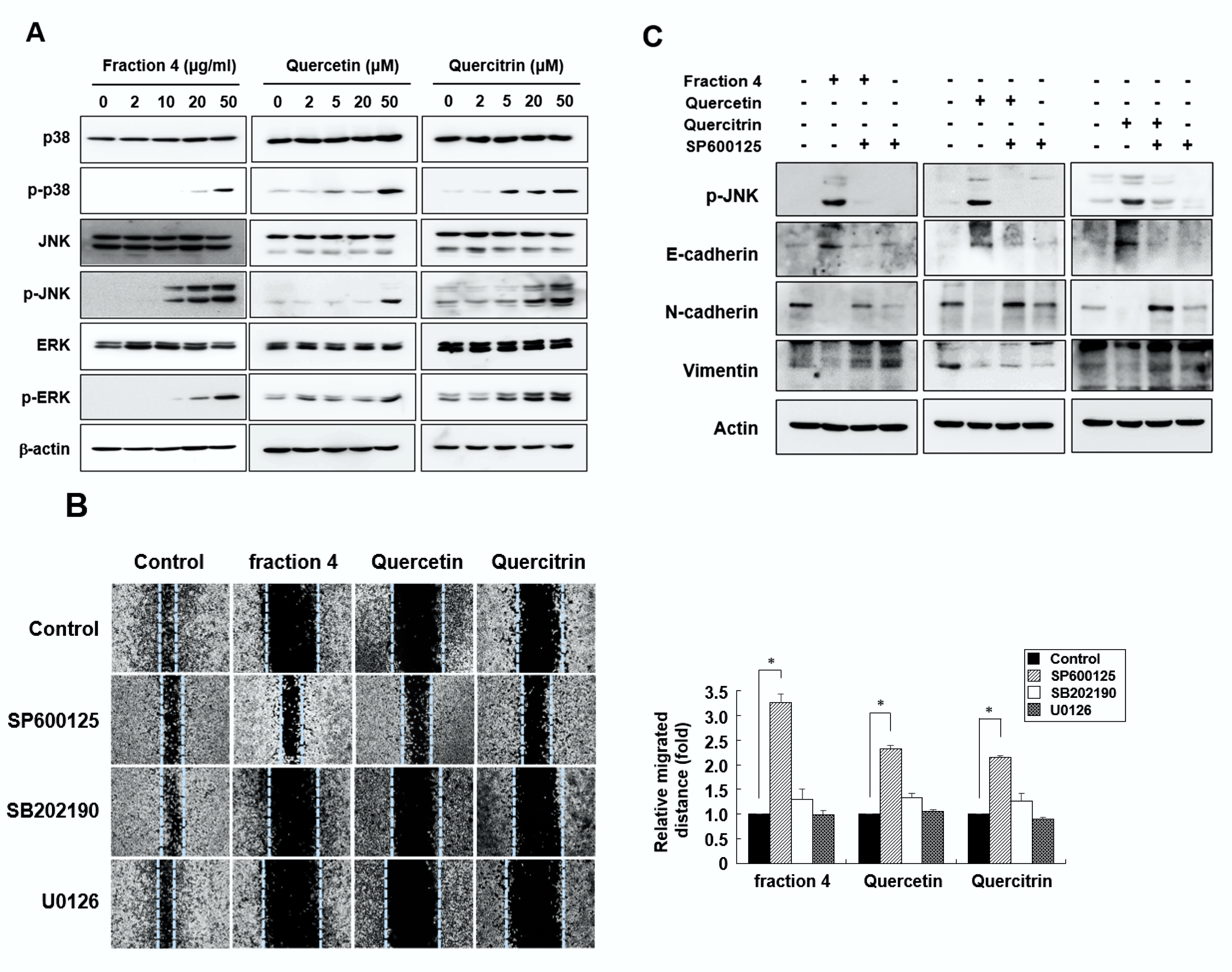 Pharmaceuticals 15 00364 g005 550