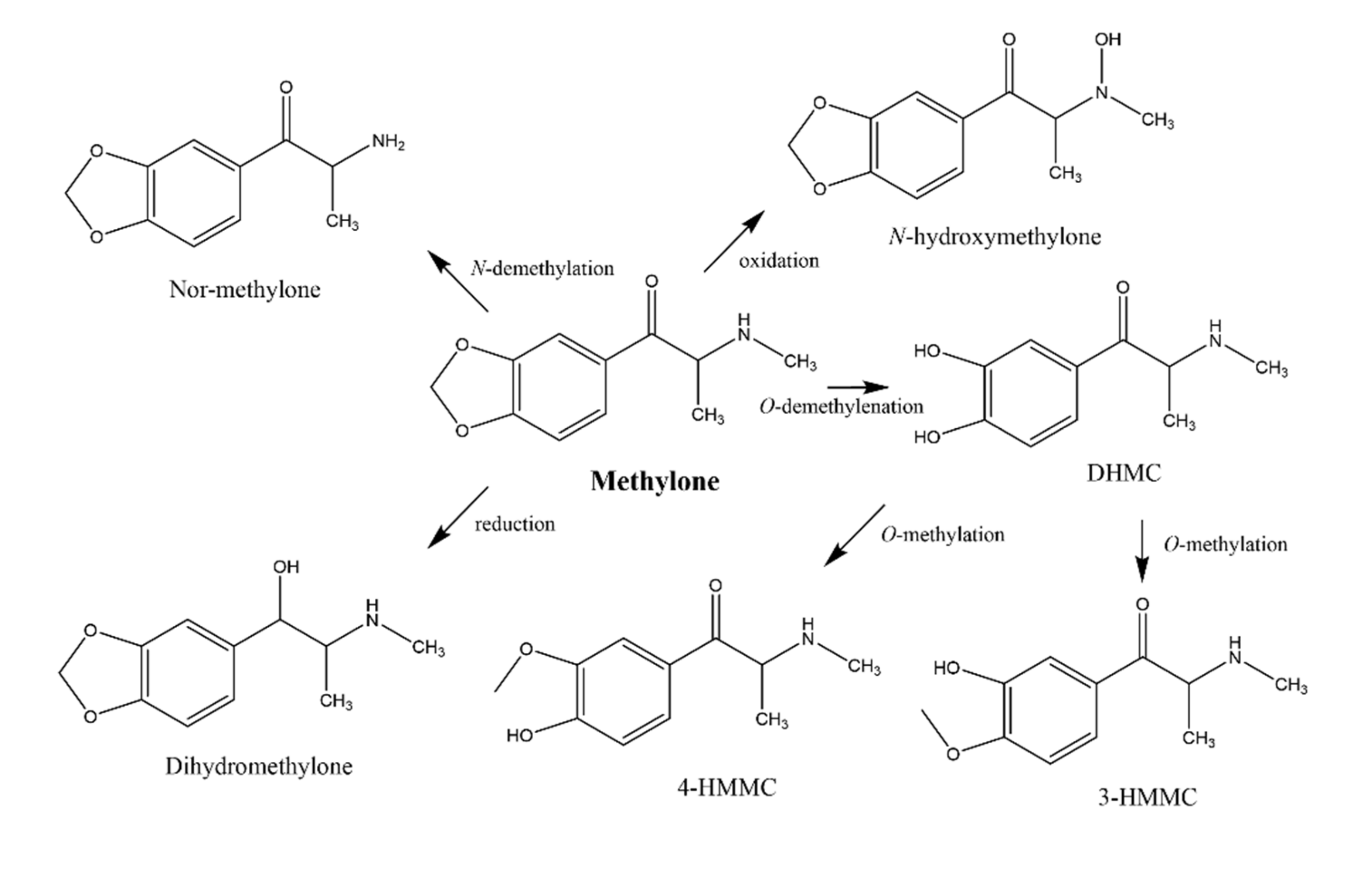 Pharmaceuticals 15 00368 g001 550