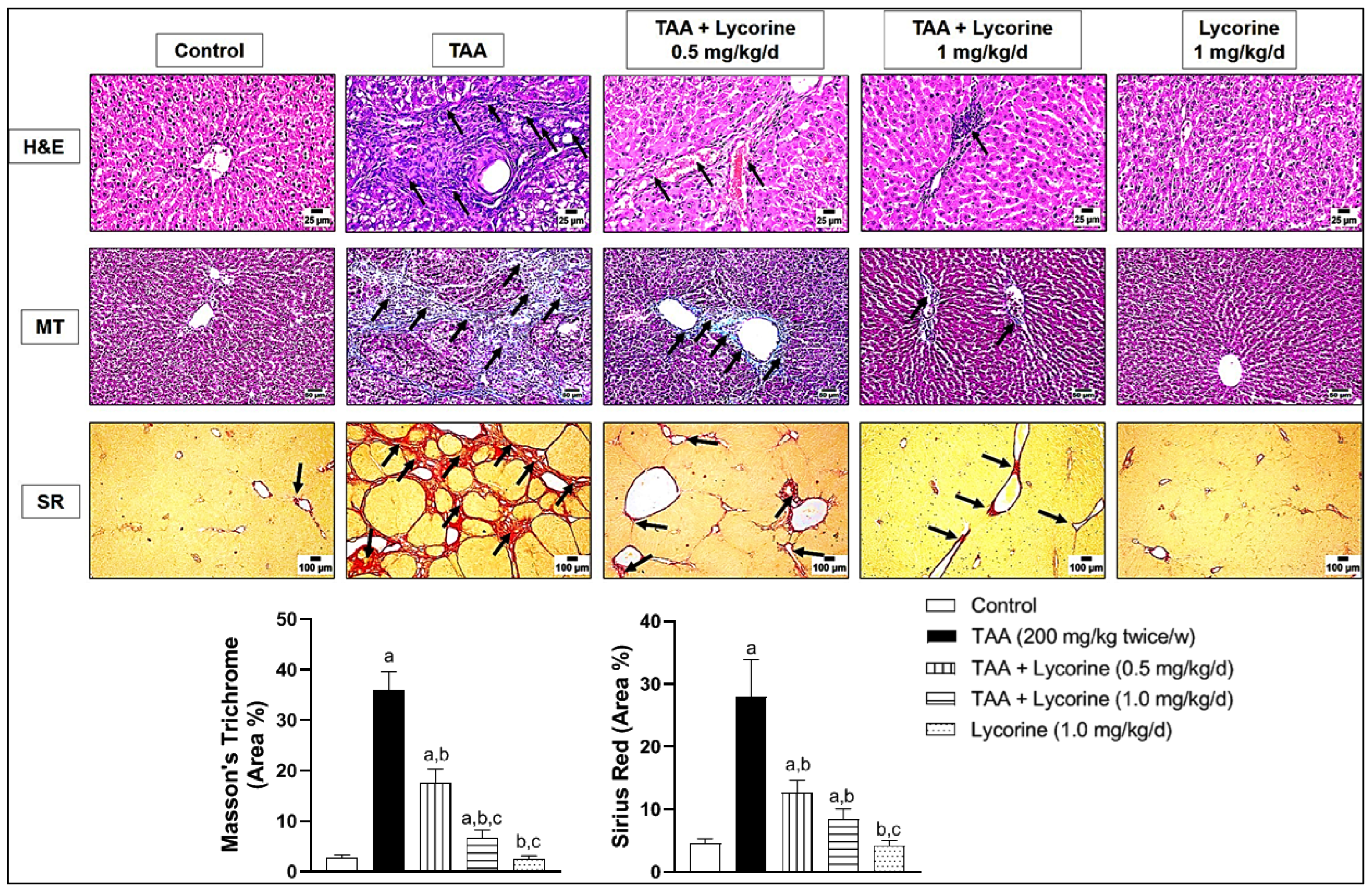 Pharmaceuticals 15 00369 g002