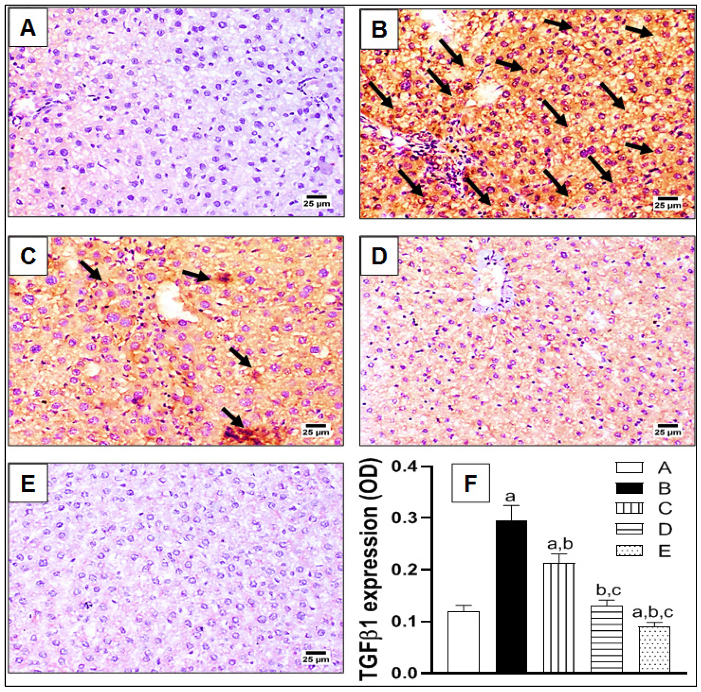 Pharmaceuticals 15 00369 g004