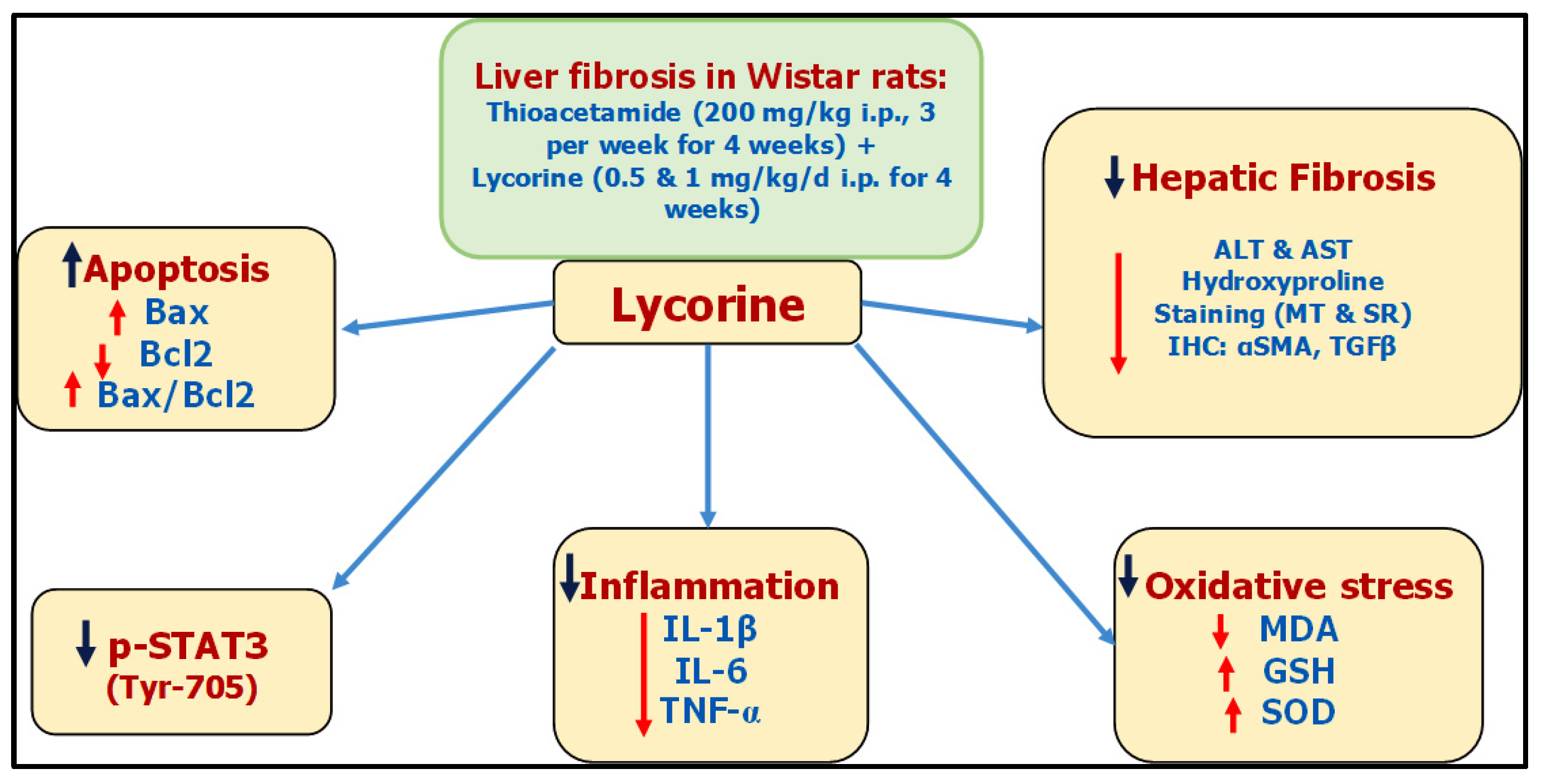 Pharmaceuticals 15 00369 g009