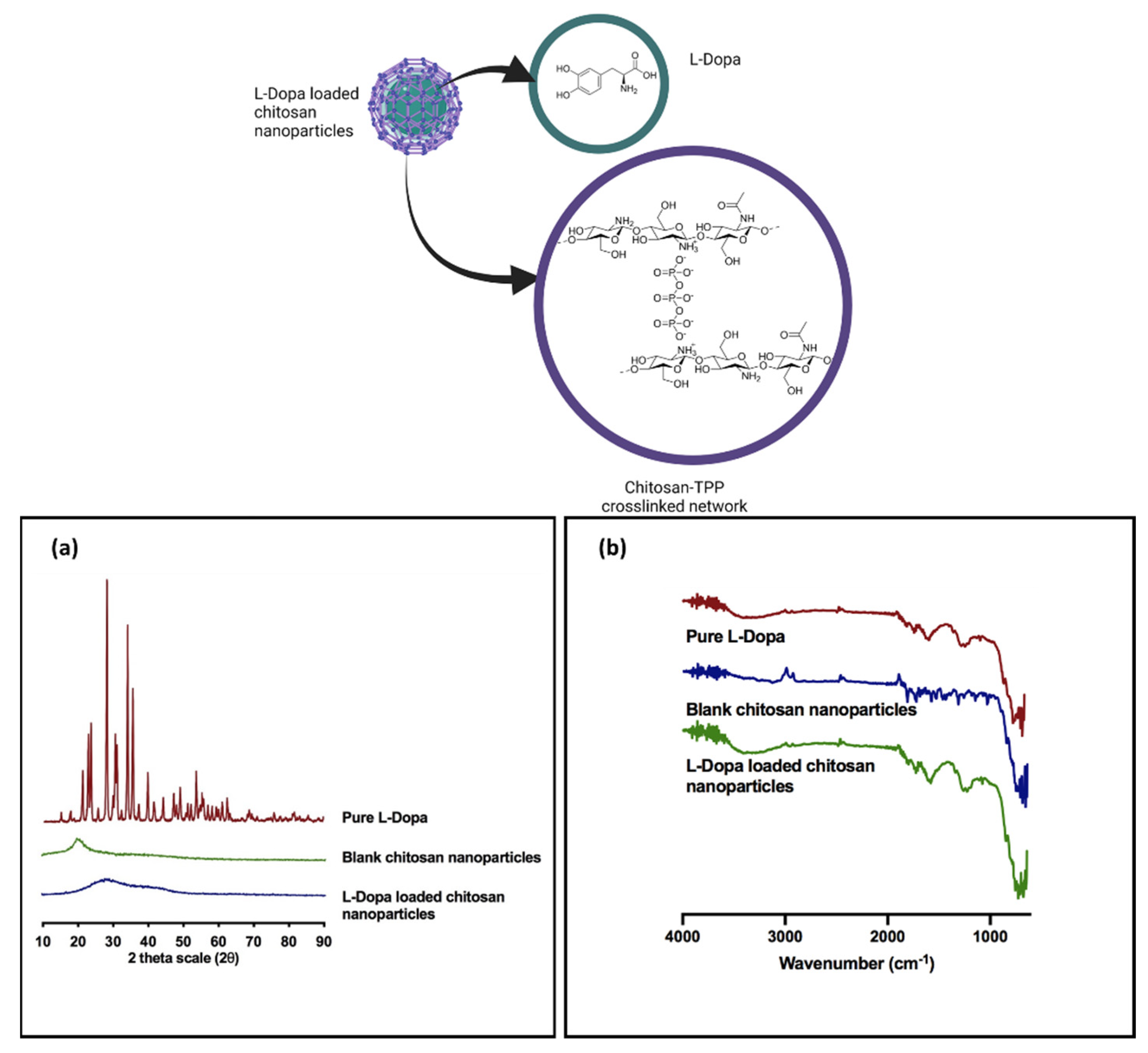 Pharmaceuticals 15 00370 g004