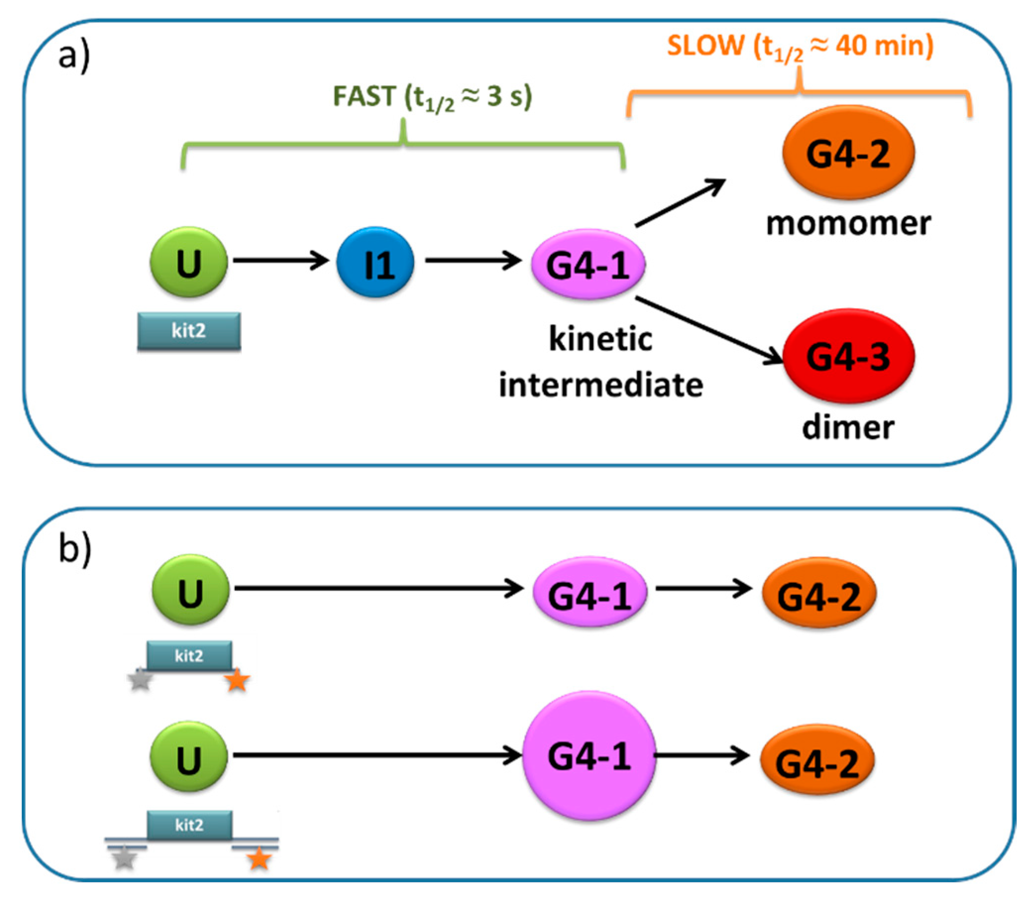 Pharmaceuticals 15 00373 g003 550