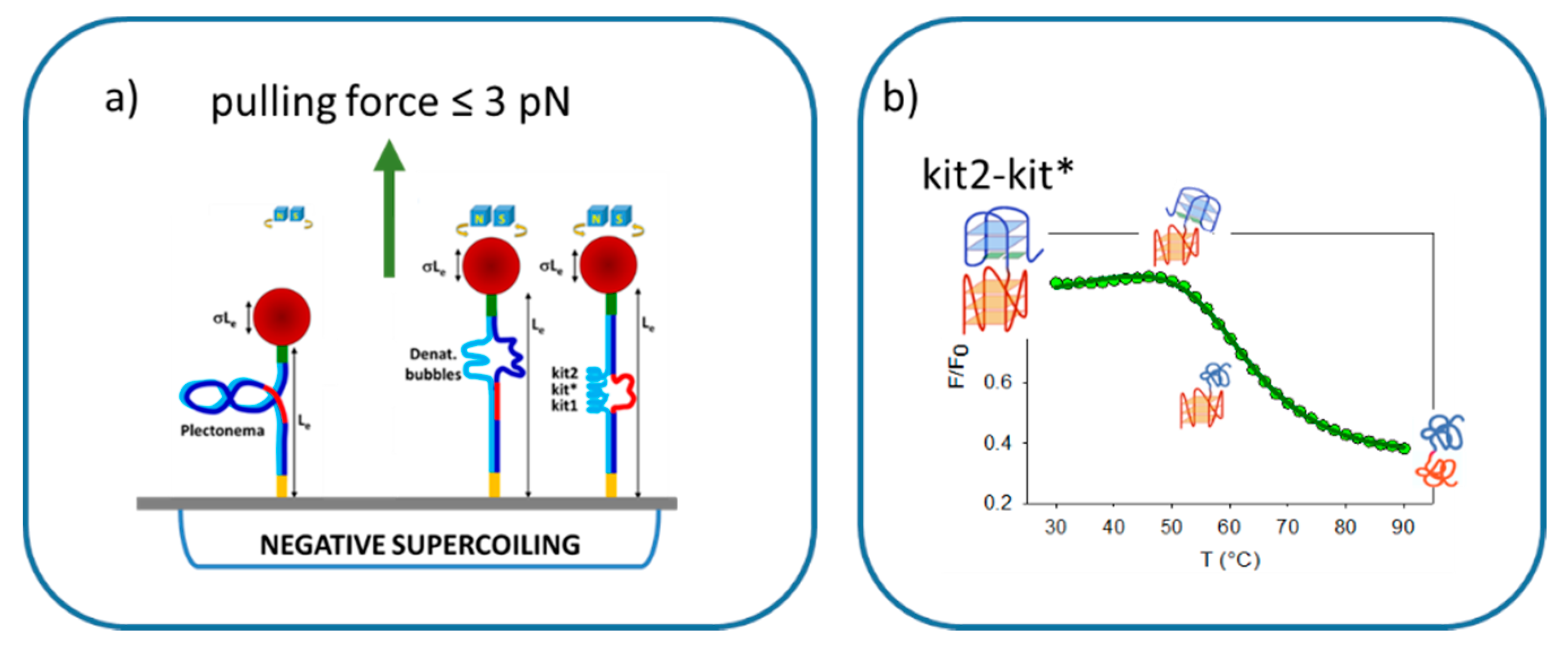Pharmaceuticals 15 00373 g005 550
