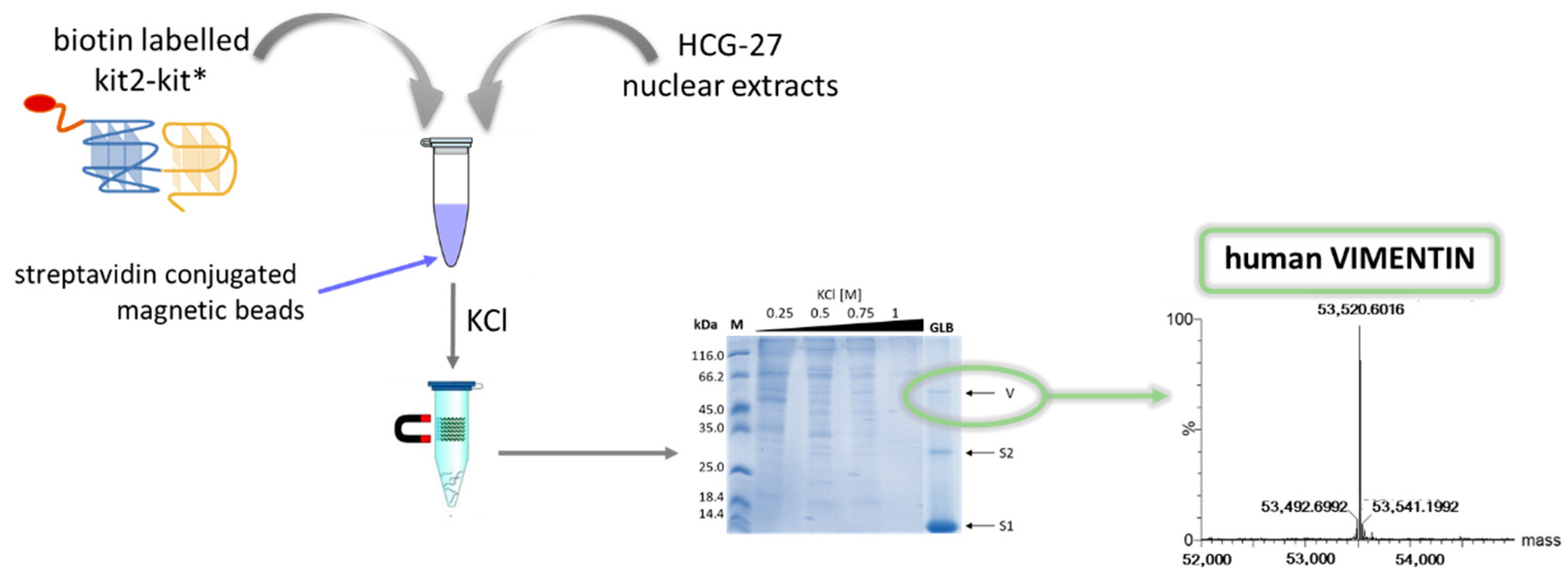 Pharmaceuticals 15 00373 g006 550