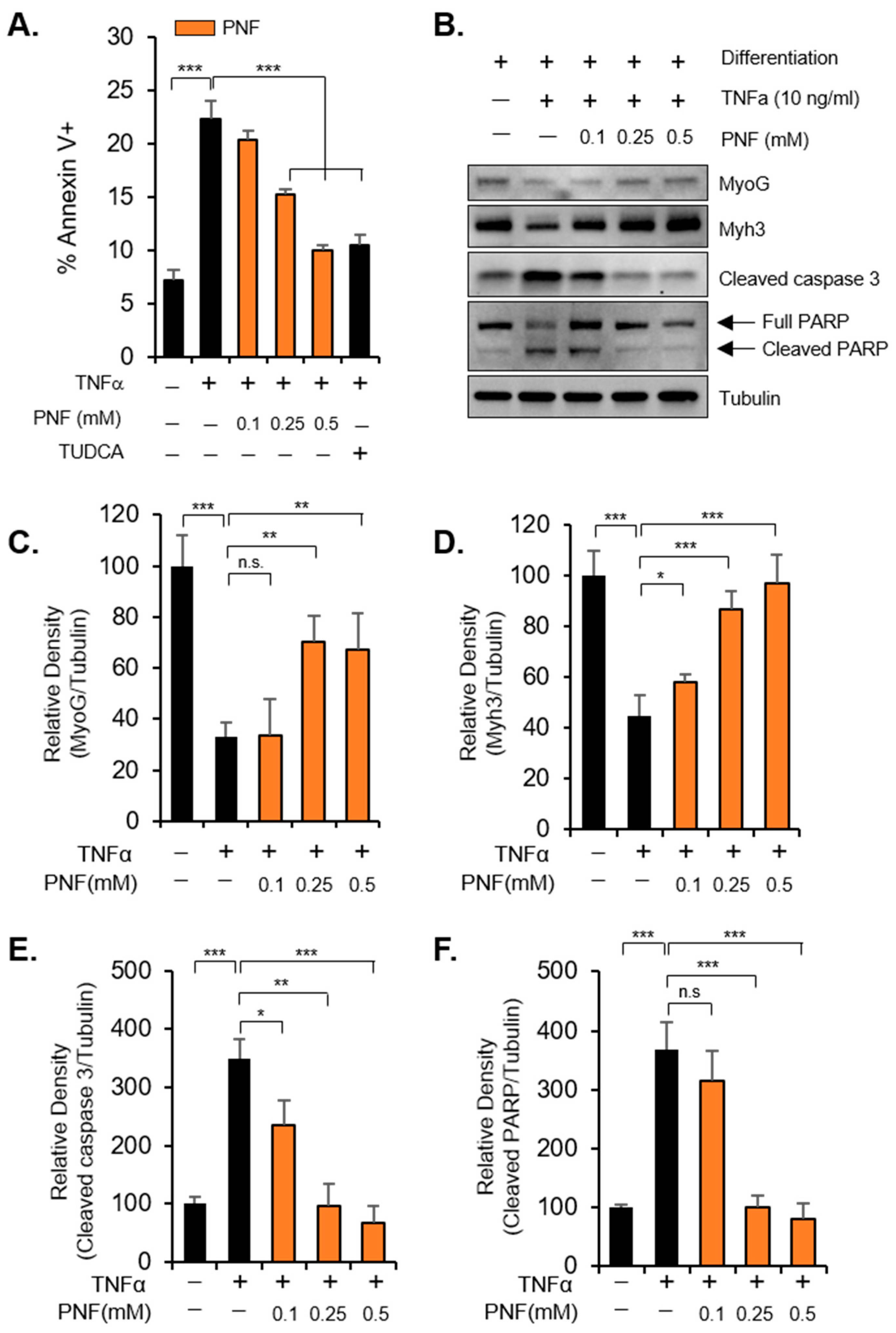 Pharmaceuticals 15 00390 g002 Pharmaceuticals 15 00390 g002