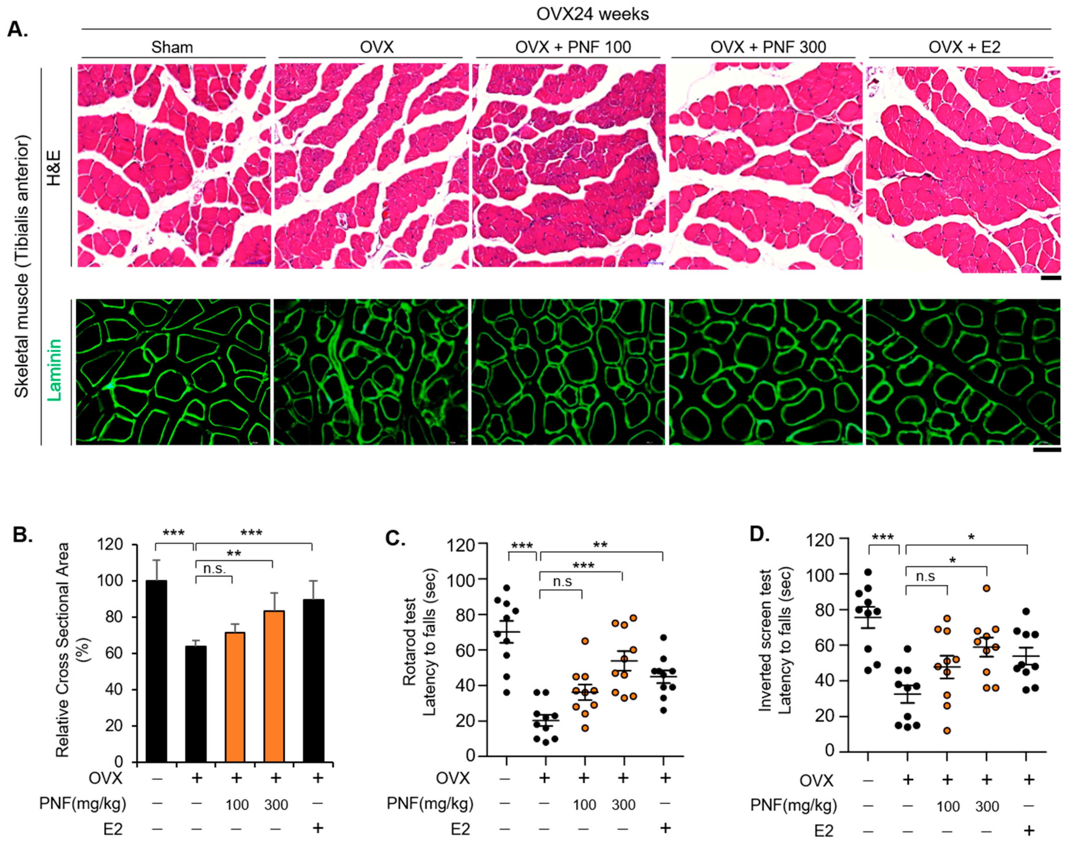 Pharmaceuticals 15 00390 g004 Pharmaceuticals 15 00390 g004