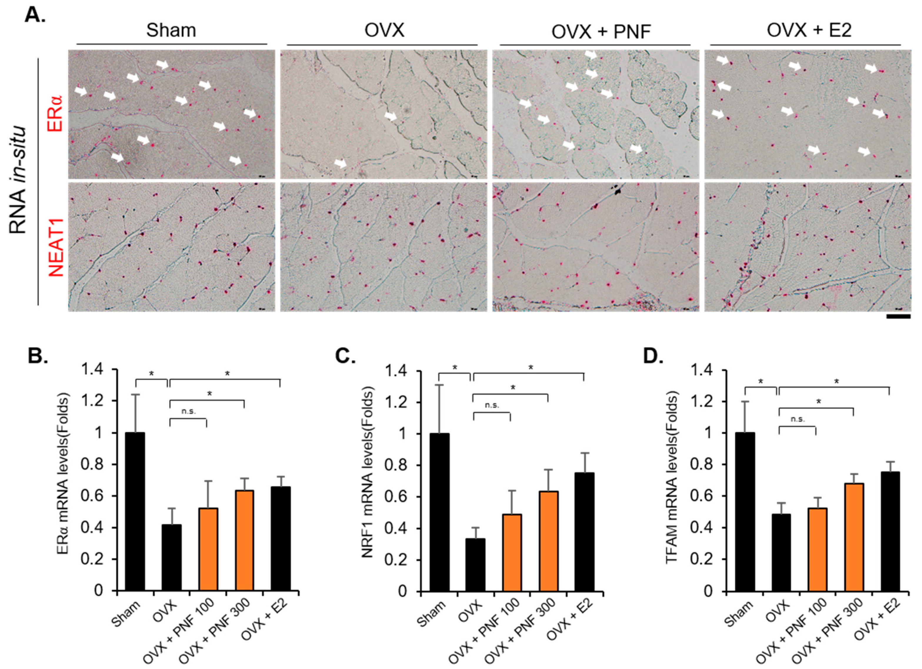 Pharmaceuticals 15 00390 g005 Pharmaceuticals 15 00390 g005