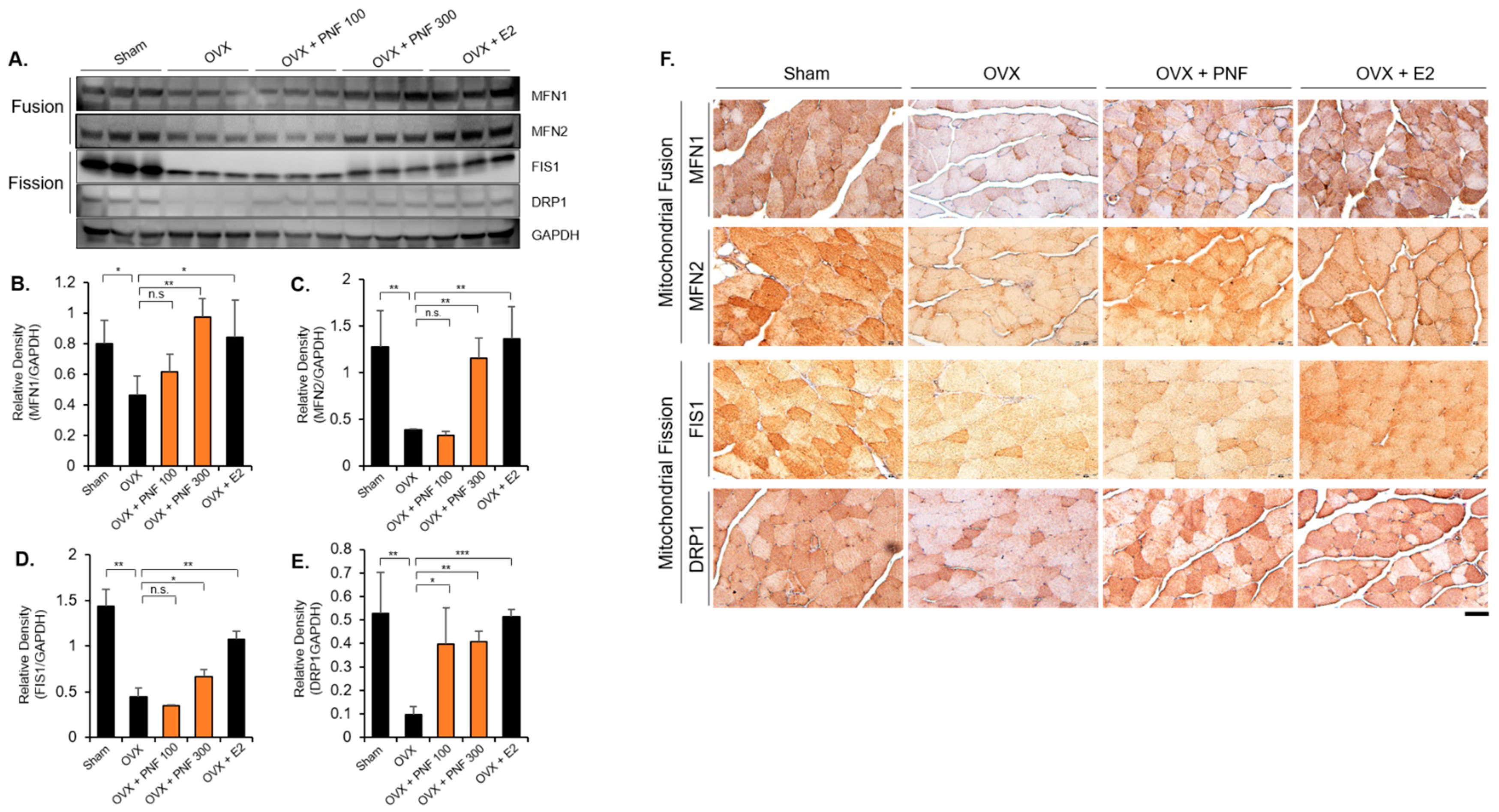 Pharmaceuticals 15 00390 g006 Pharmaceuticals 15 00390 g006
