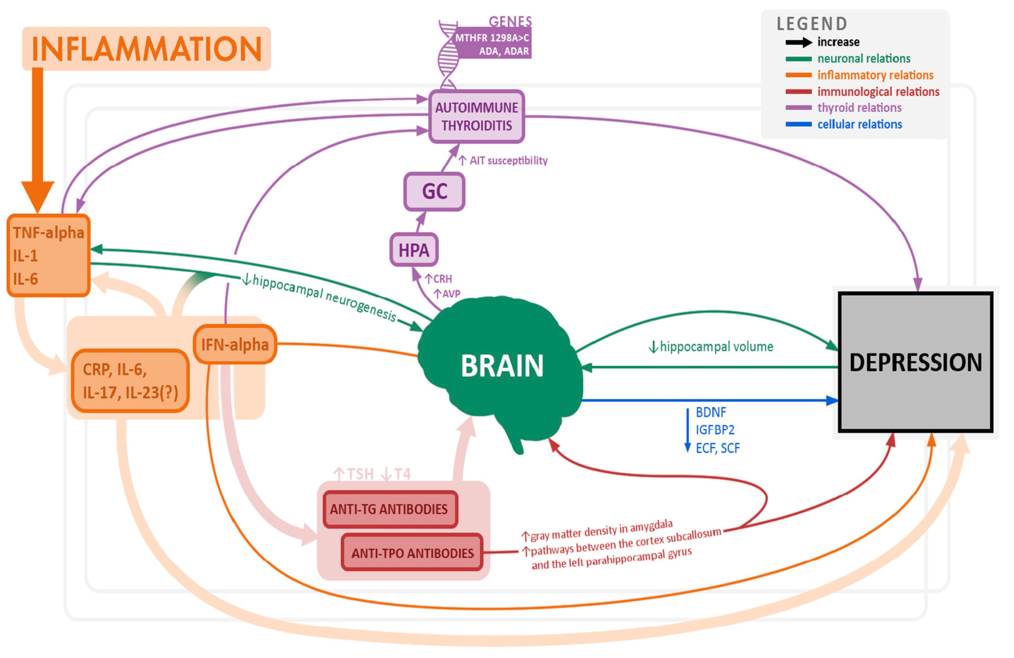 Pharmaceuticals 15 00391 g003 Pharmaceuticals 15 00391 g003