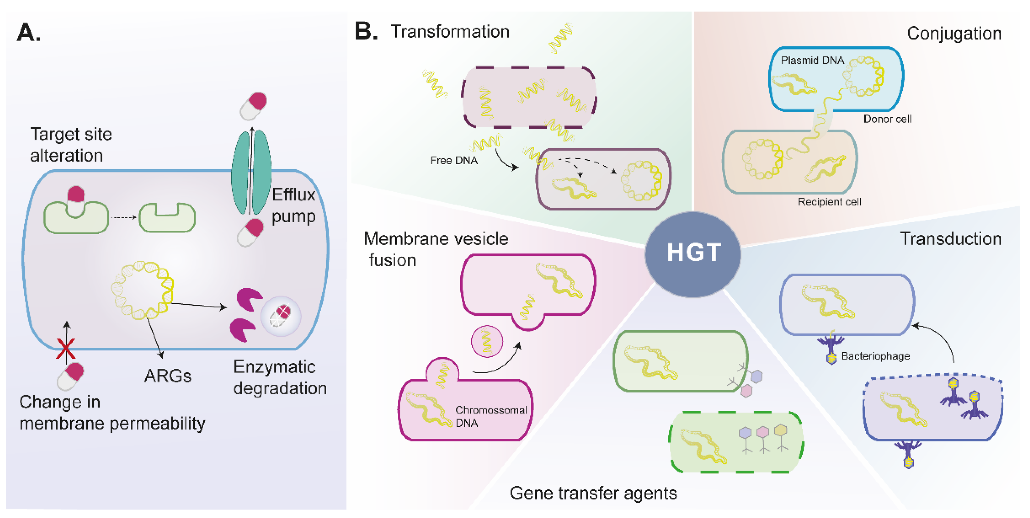 Pharmaceuticals 15 00393 g001