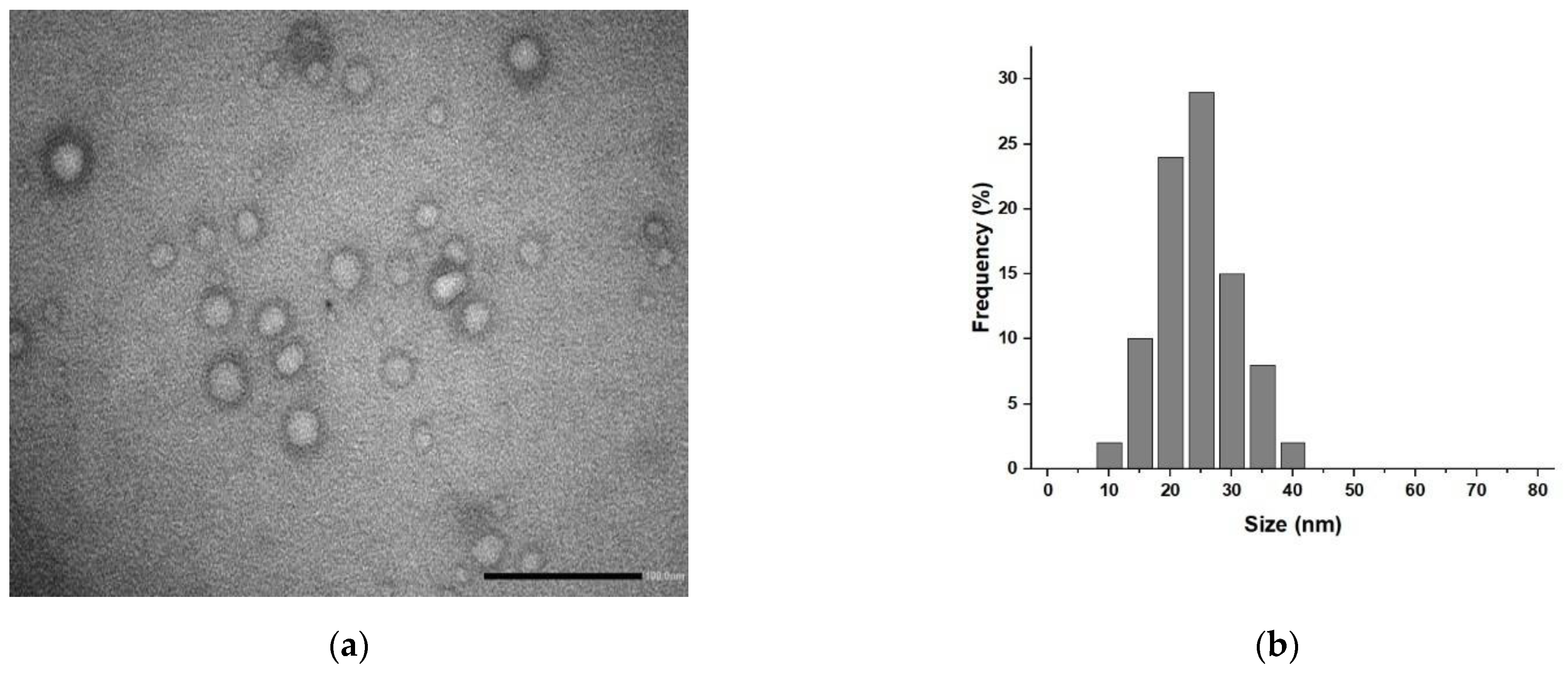 Pharmaceuticals 15 00394 g002 Pharmaceuticals 15 00394 g002