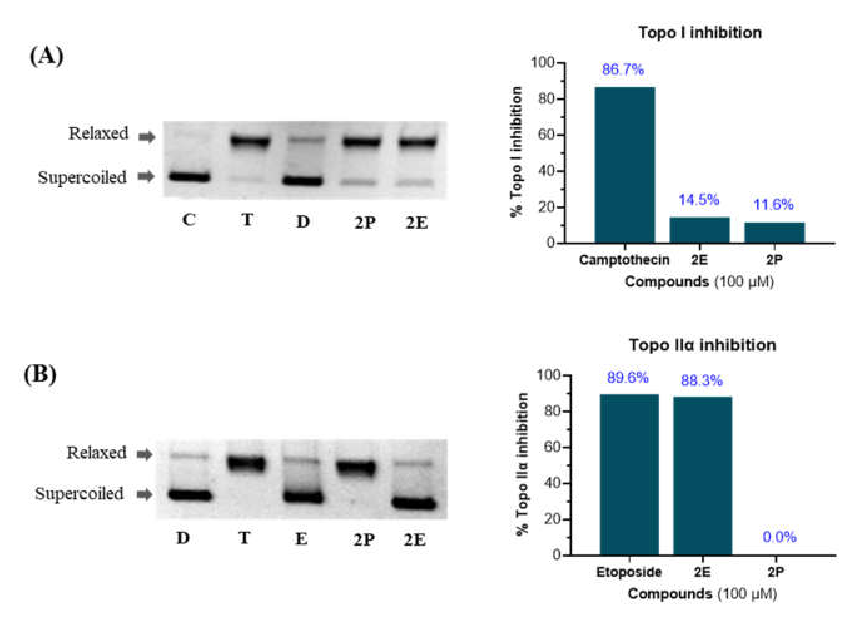 Pharmaceuticals 15 00399 g002