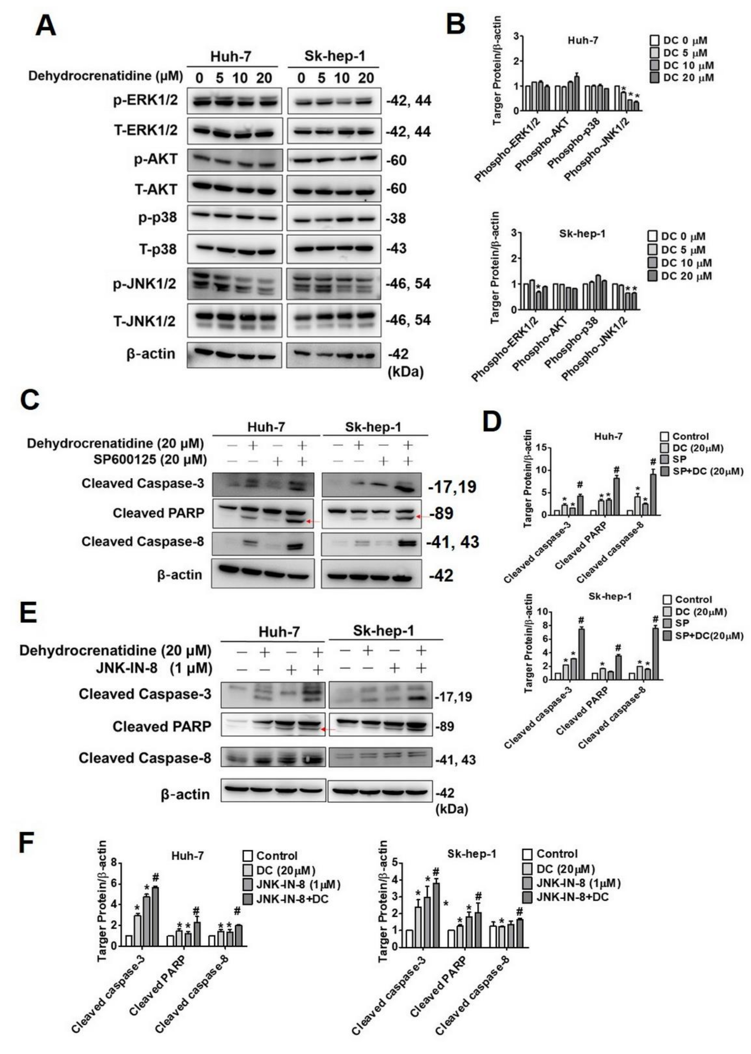 Pharmaceuticals 15 00402 g006 550