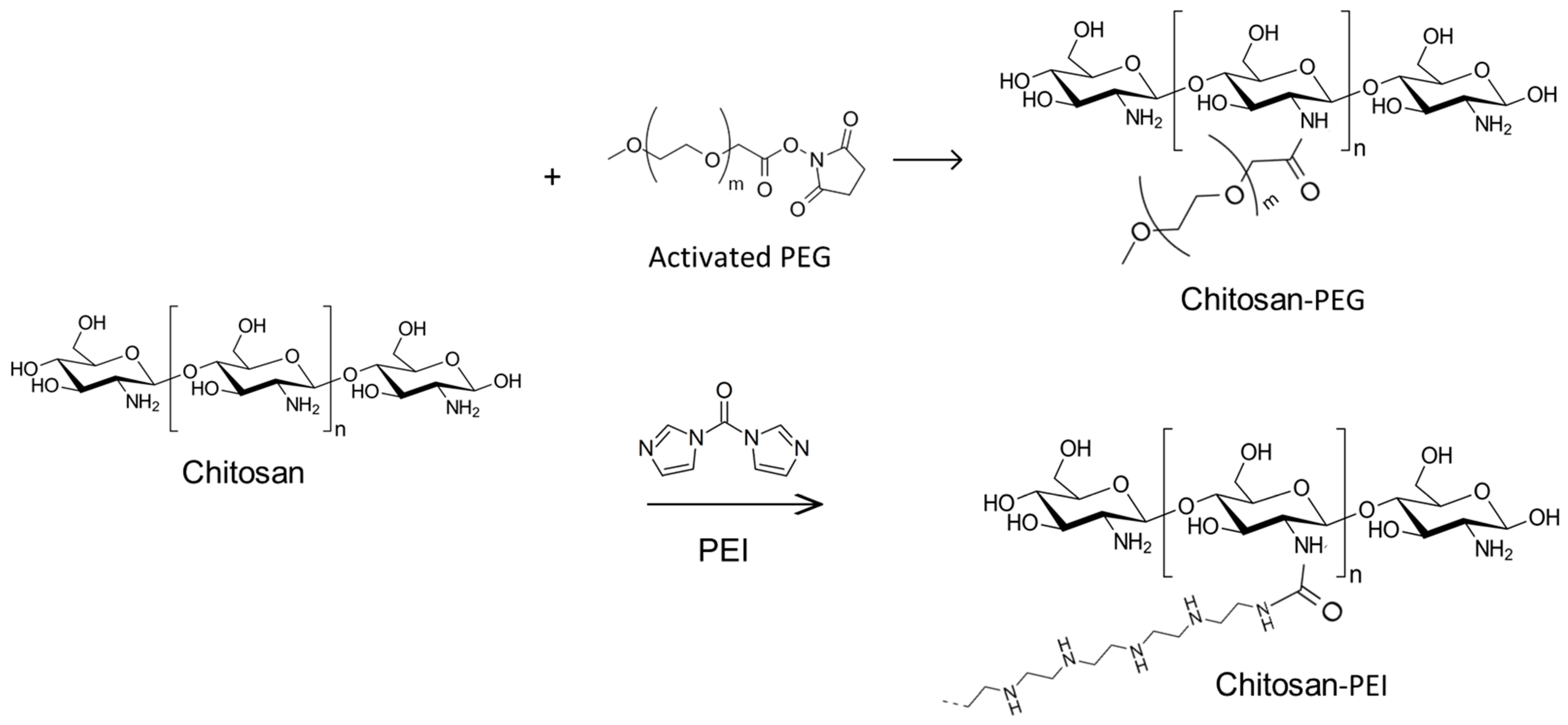 Pharmaceuticals 15 00406 g001
