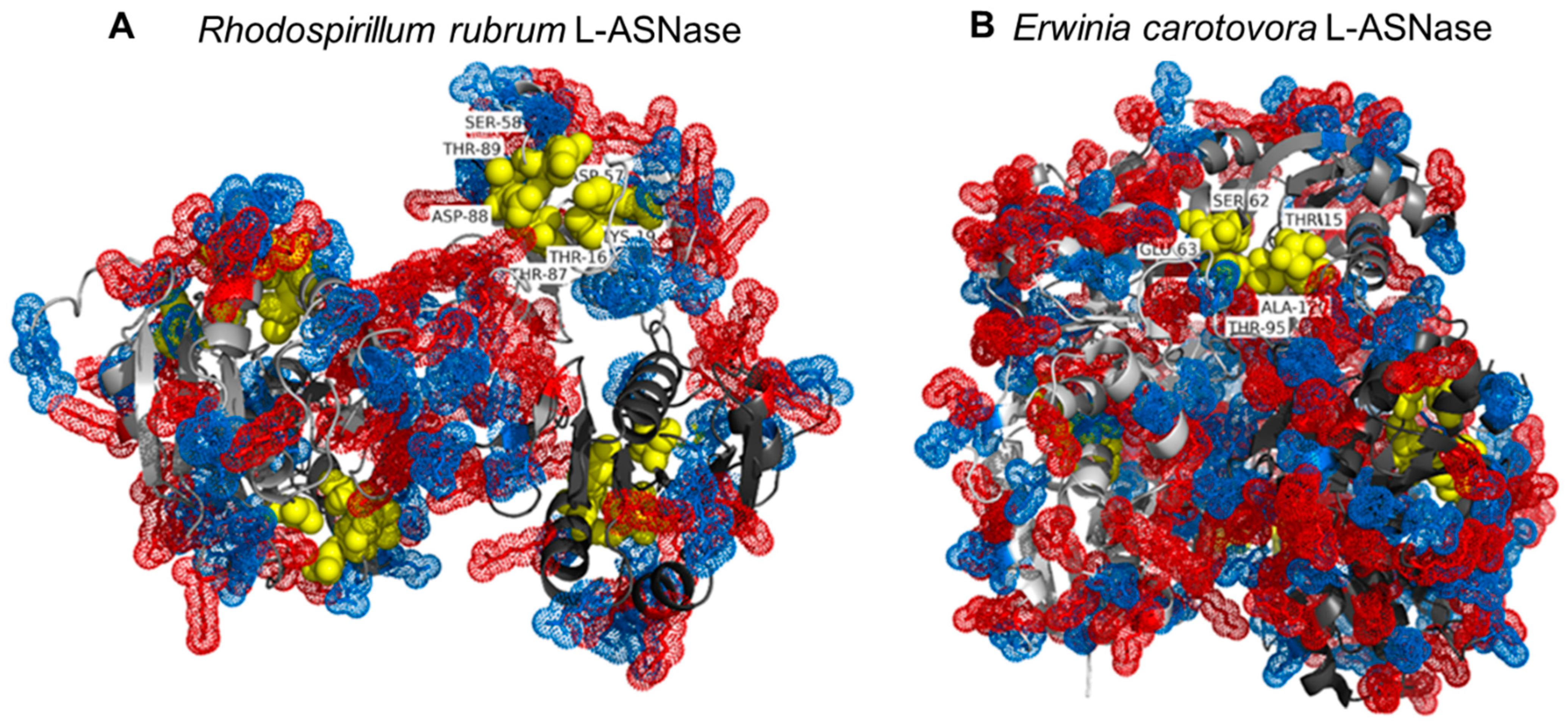 Pharmaceuticals 15 00406 g009