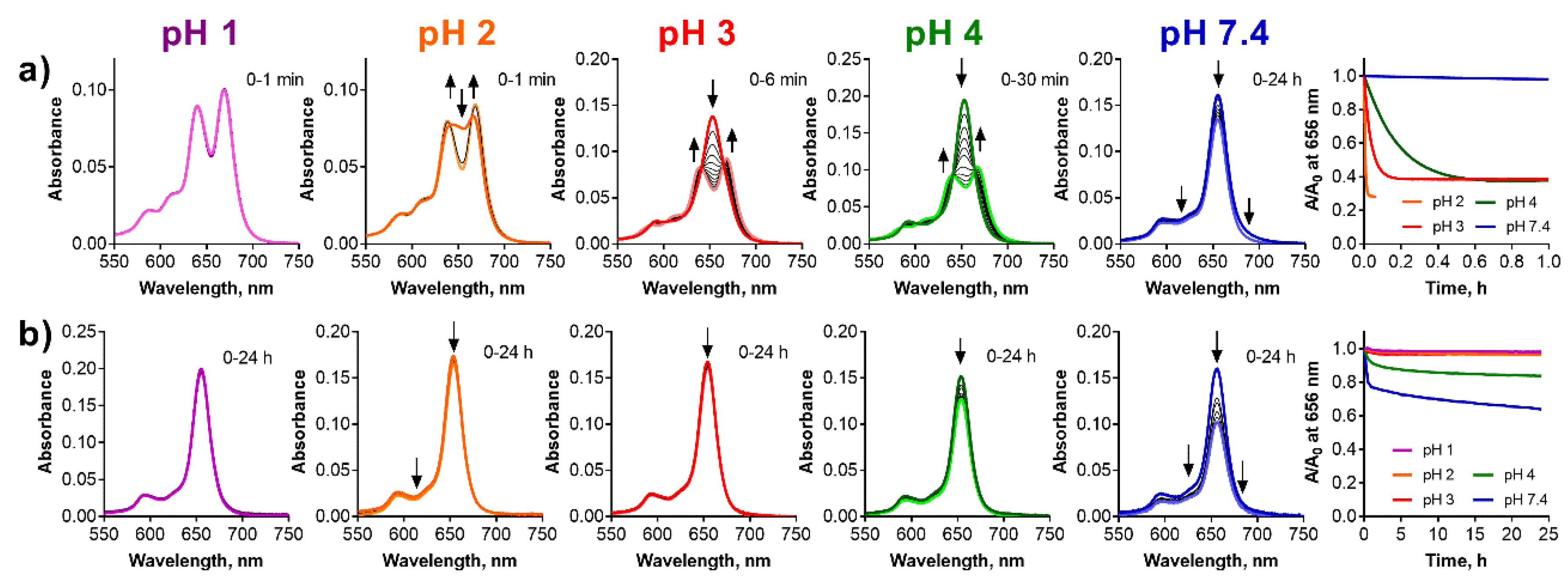 Pharmaceuticals 15 00409 g006