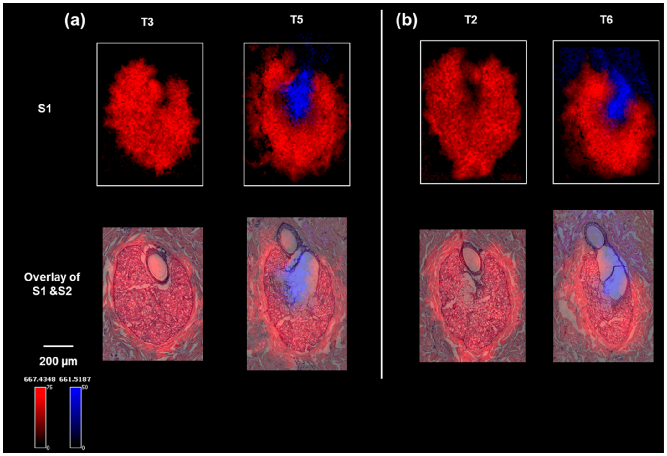 Pharmaceuticals 15 00411 g002 550