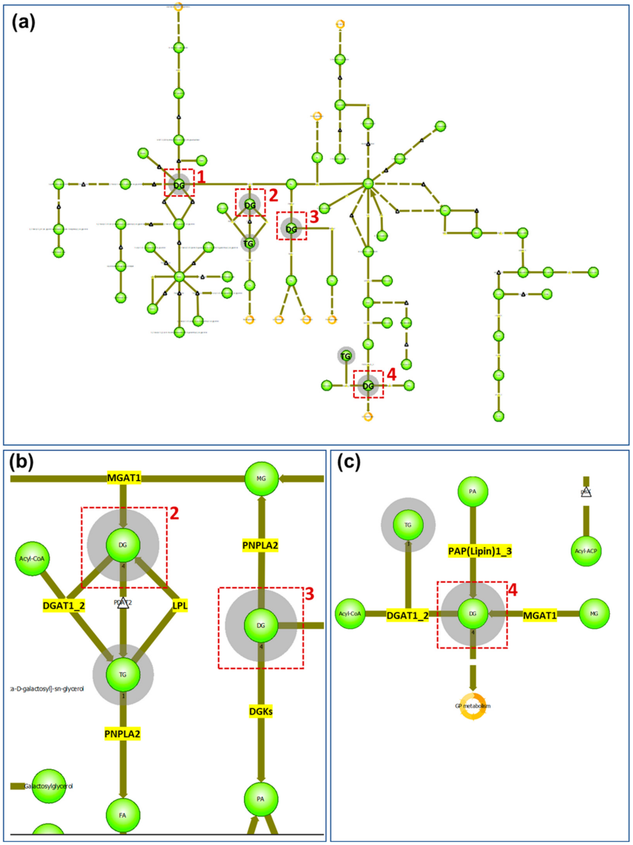Pharmaceuticals 15 00411 g003 550