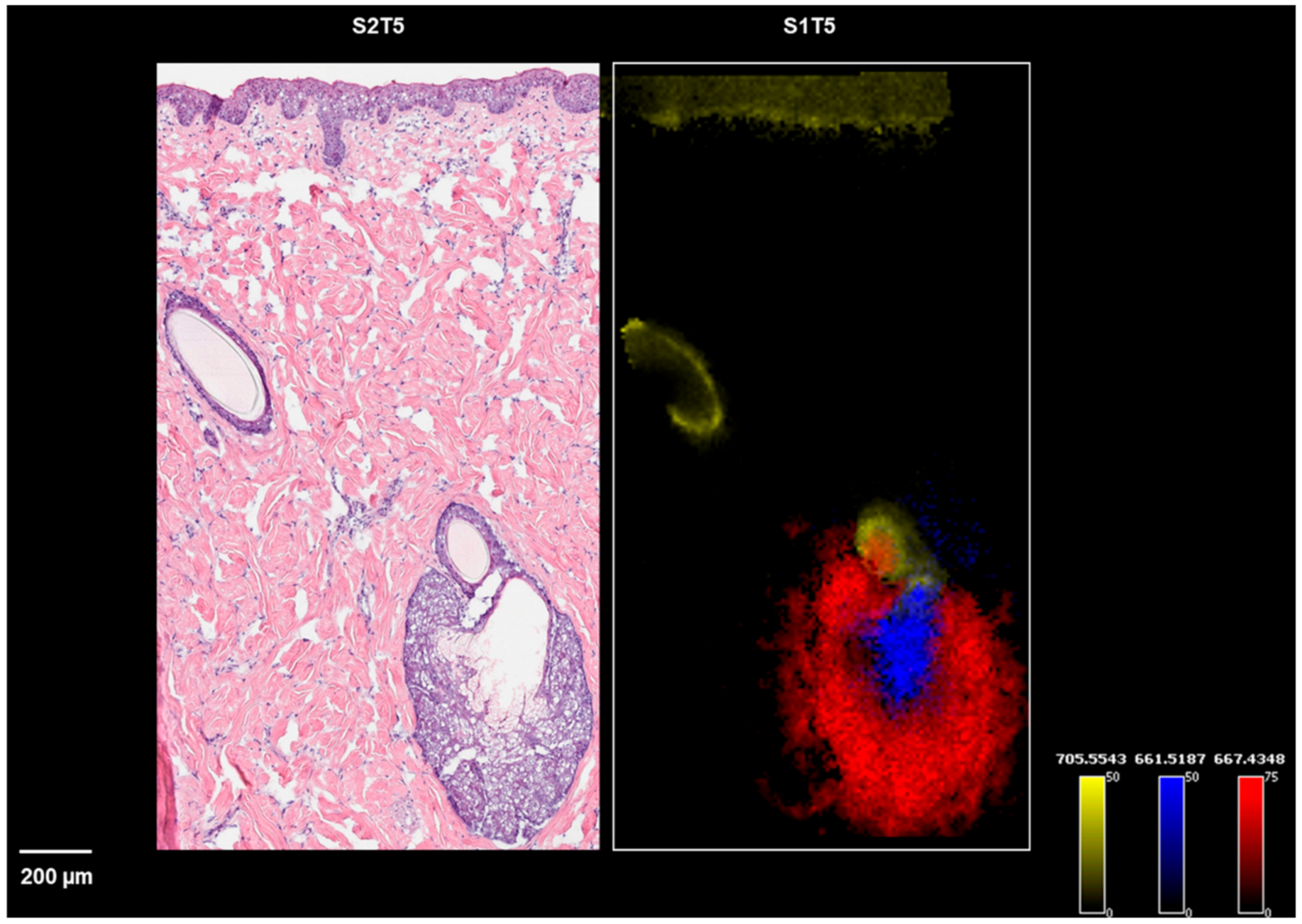 Pharmaceuticals 15 00411 g004 550