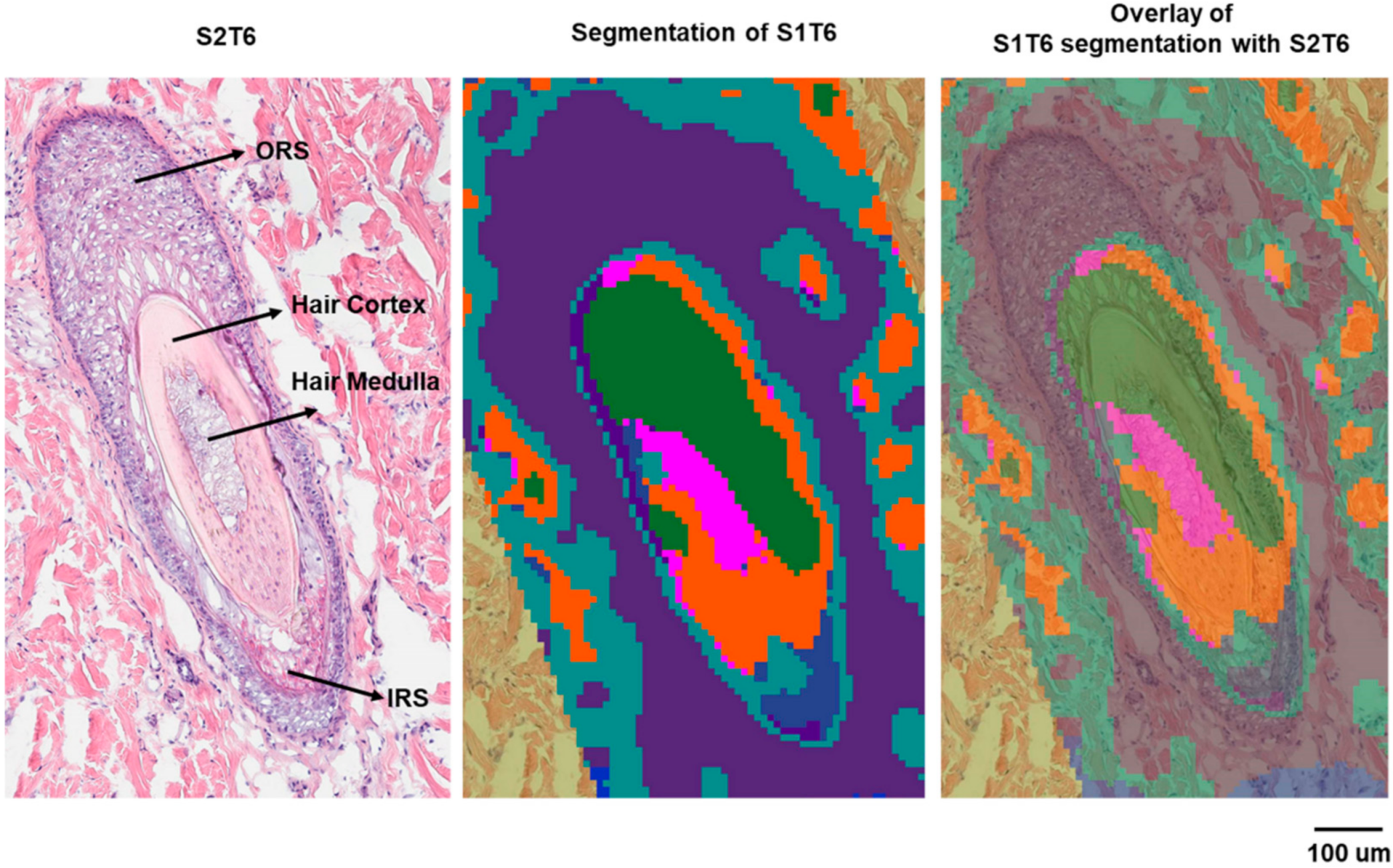 Pharmaceuticals 15 00411 g005 550