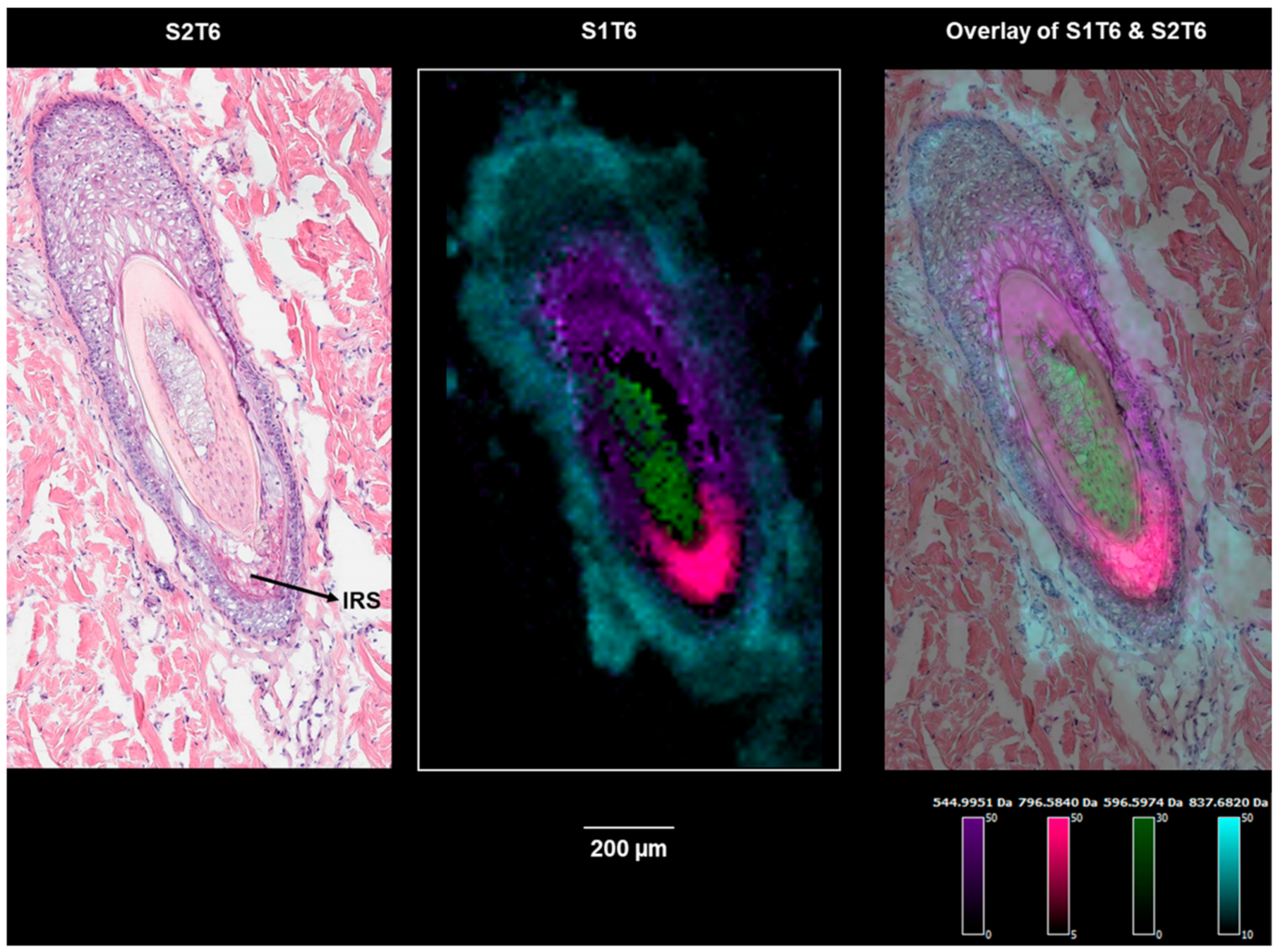 Pharmaceuticals 15 00411 g006 550