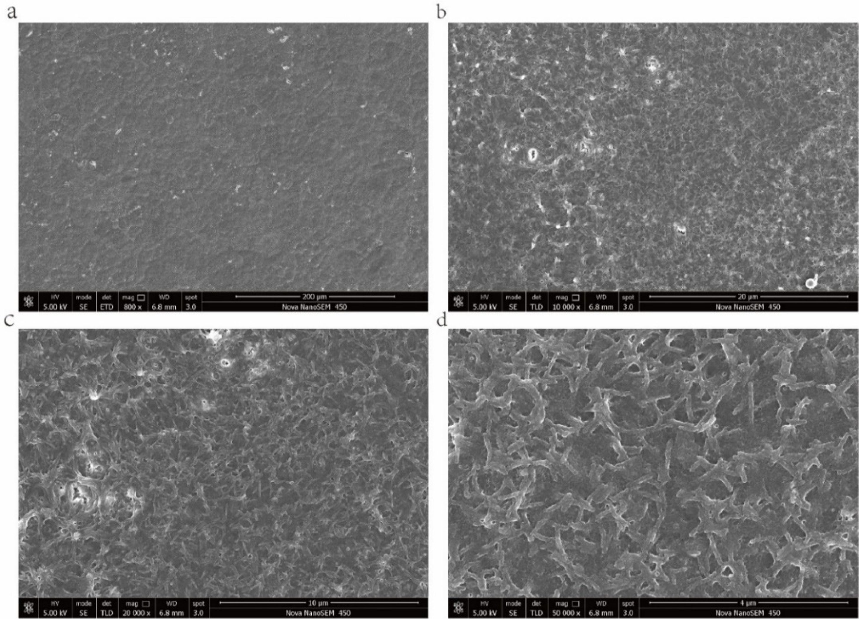 Pharmaceuticals 15 00418 g004 550