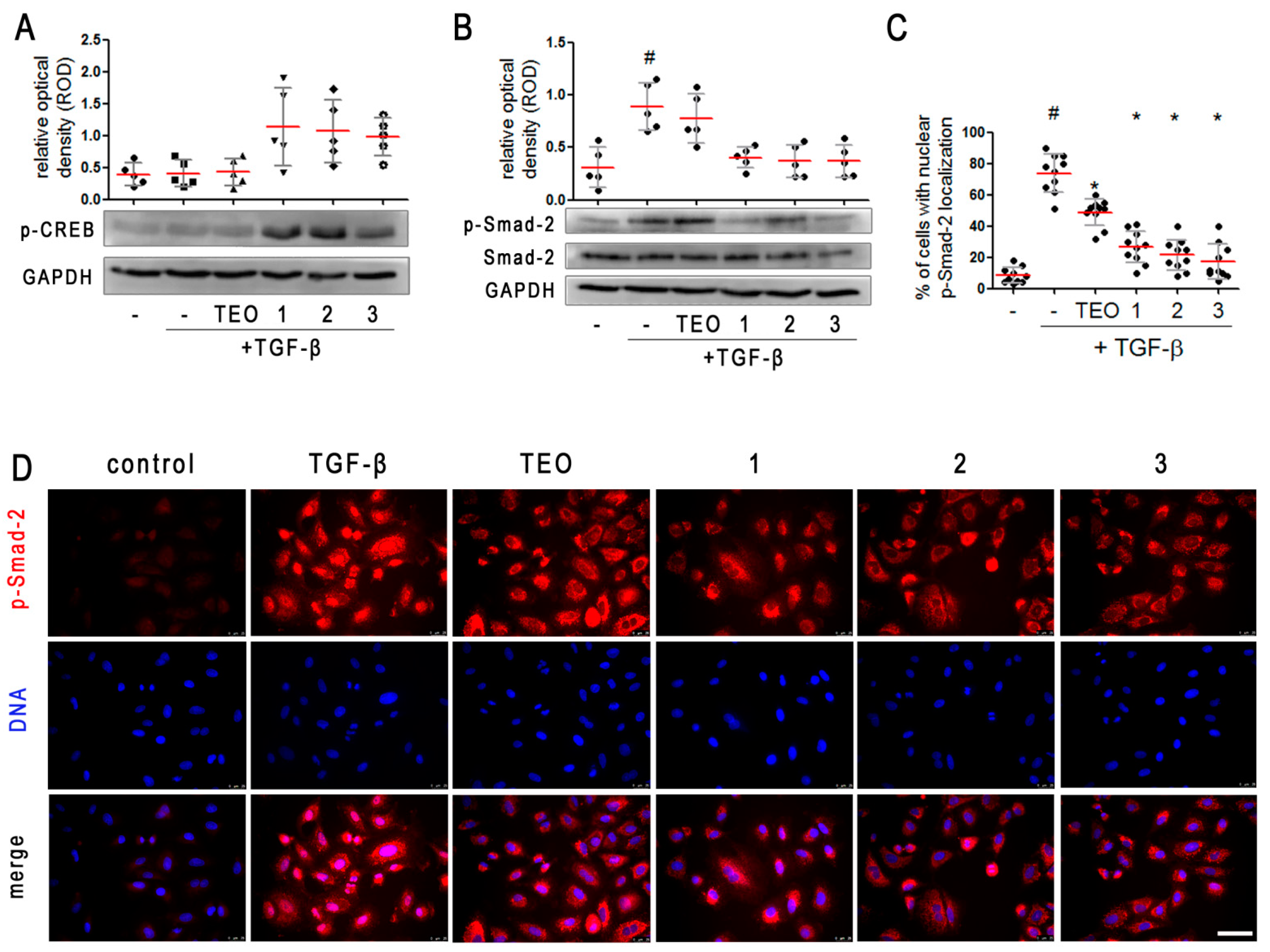Pharmaceuticals 15 00423 g006 Pharmaceuticals 15 00423 g006