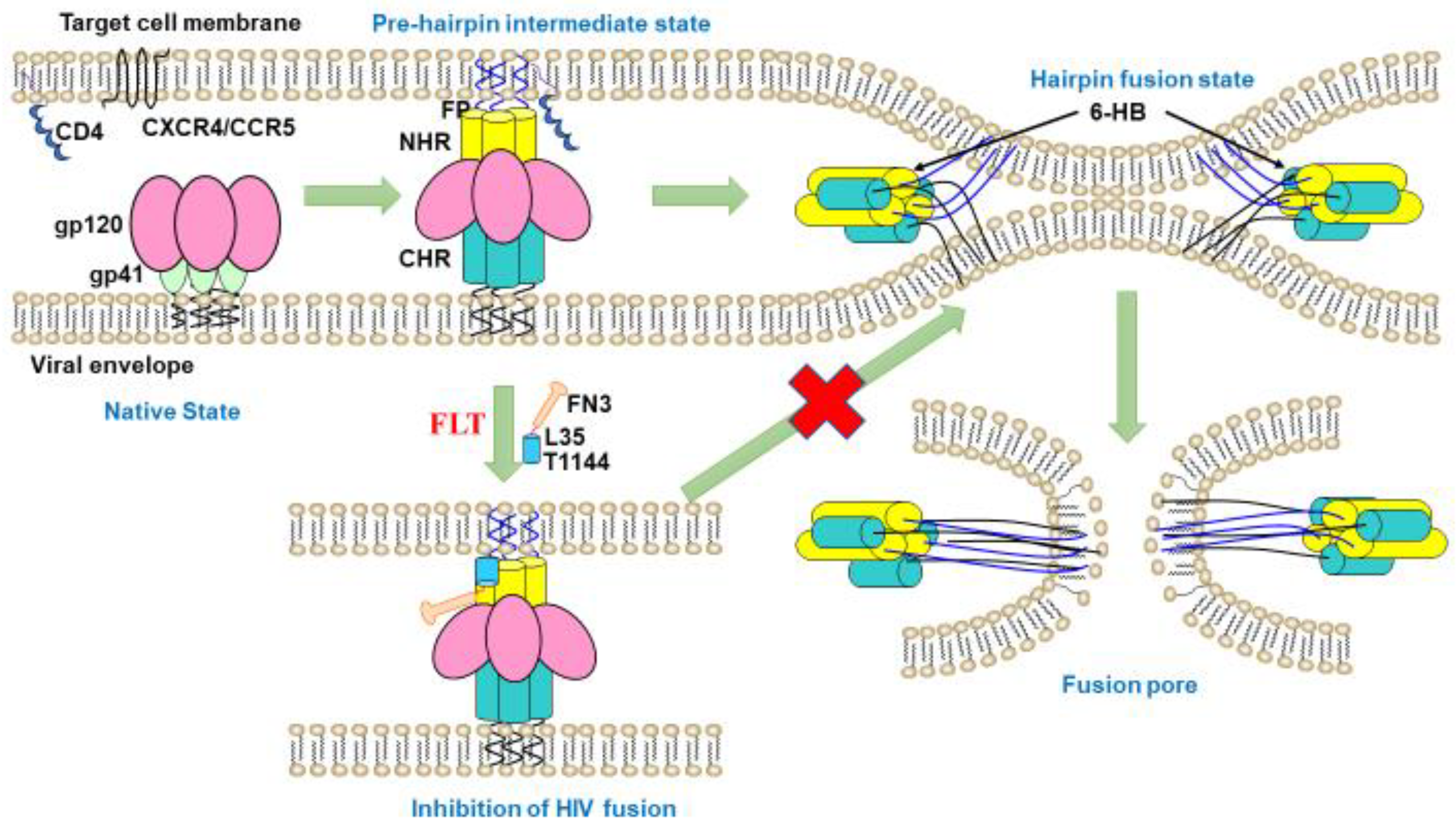 Pharmaceuticals 15 00424 g008
