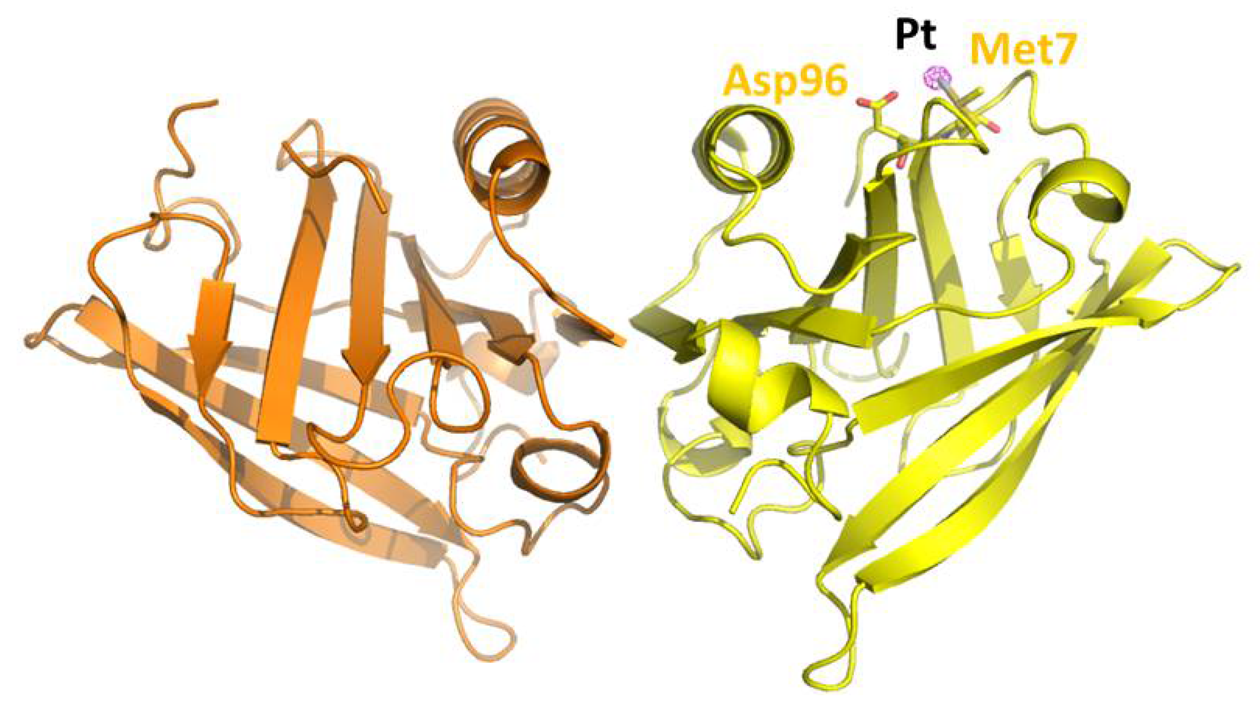 Pharmaceuticals 15 00425 g001